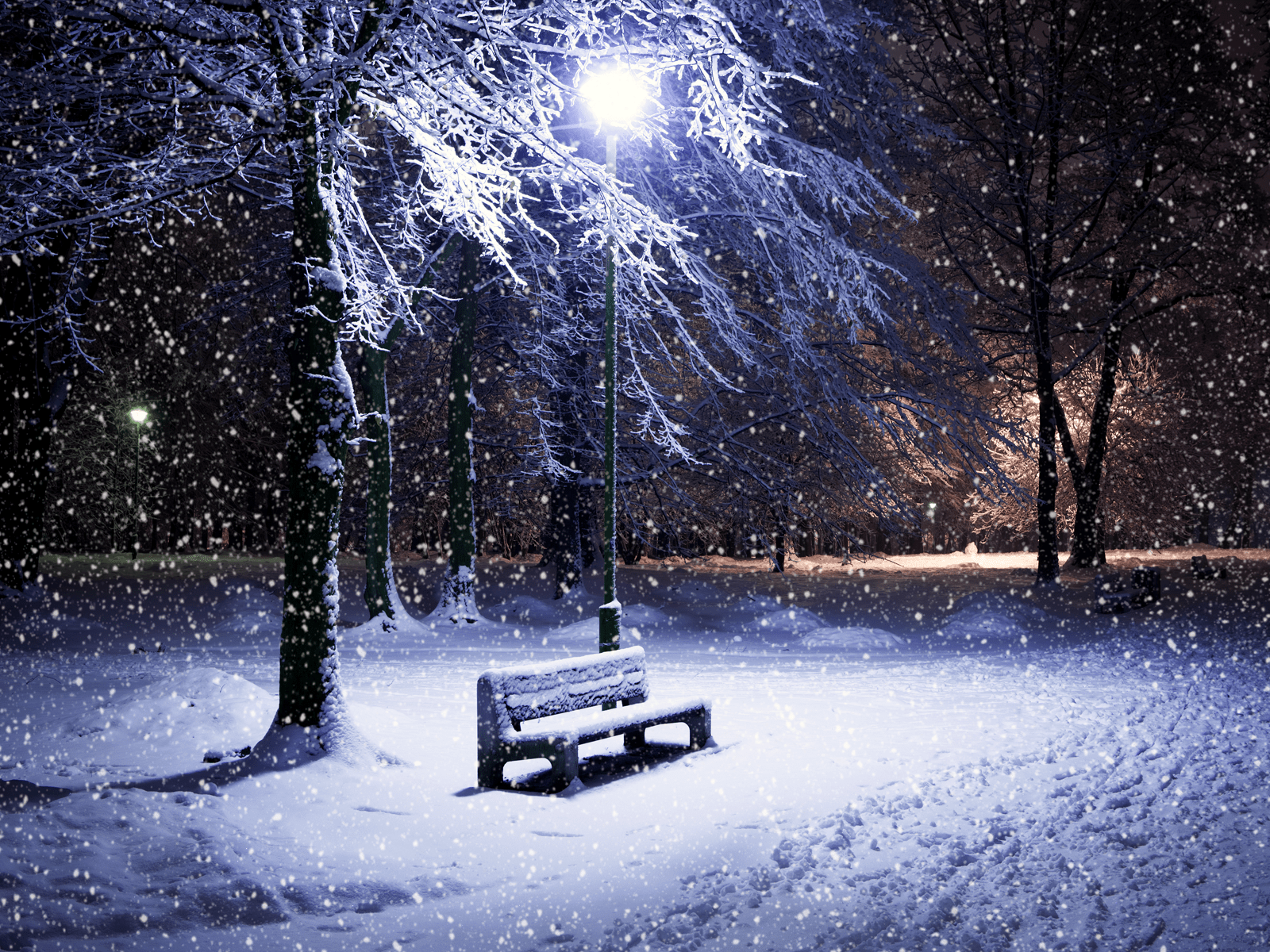 1600x1200 Free download park snow is falling wallpaper the tragedy of police