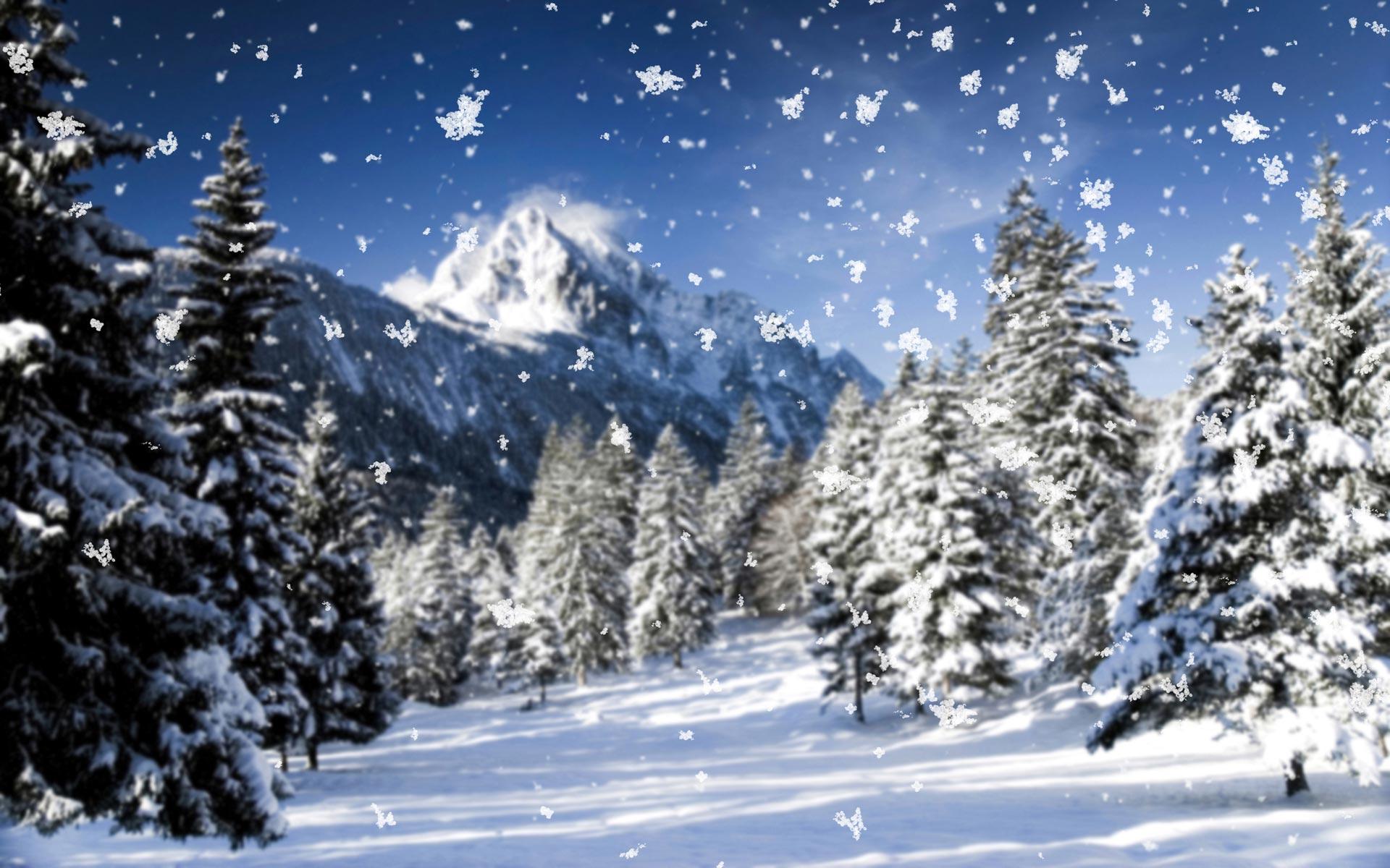 1920x1200 Snowflakes Falling Wallpaper 37165 1920x1200px