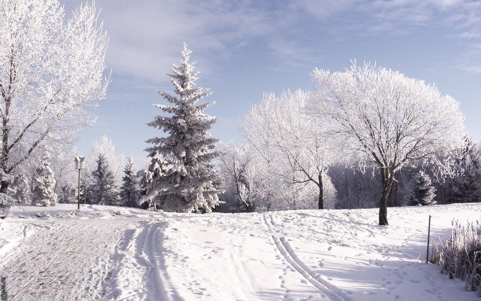 1600x1000 Free download Nature Snow desktop HD Wallpaper High Quality