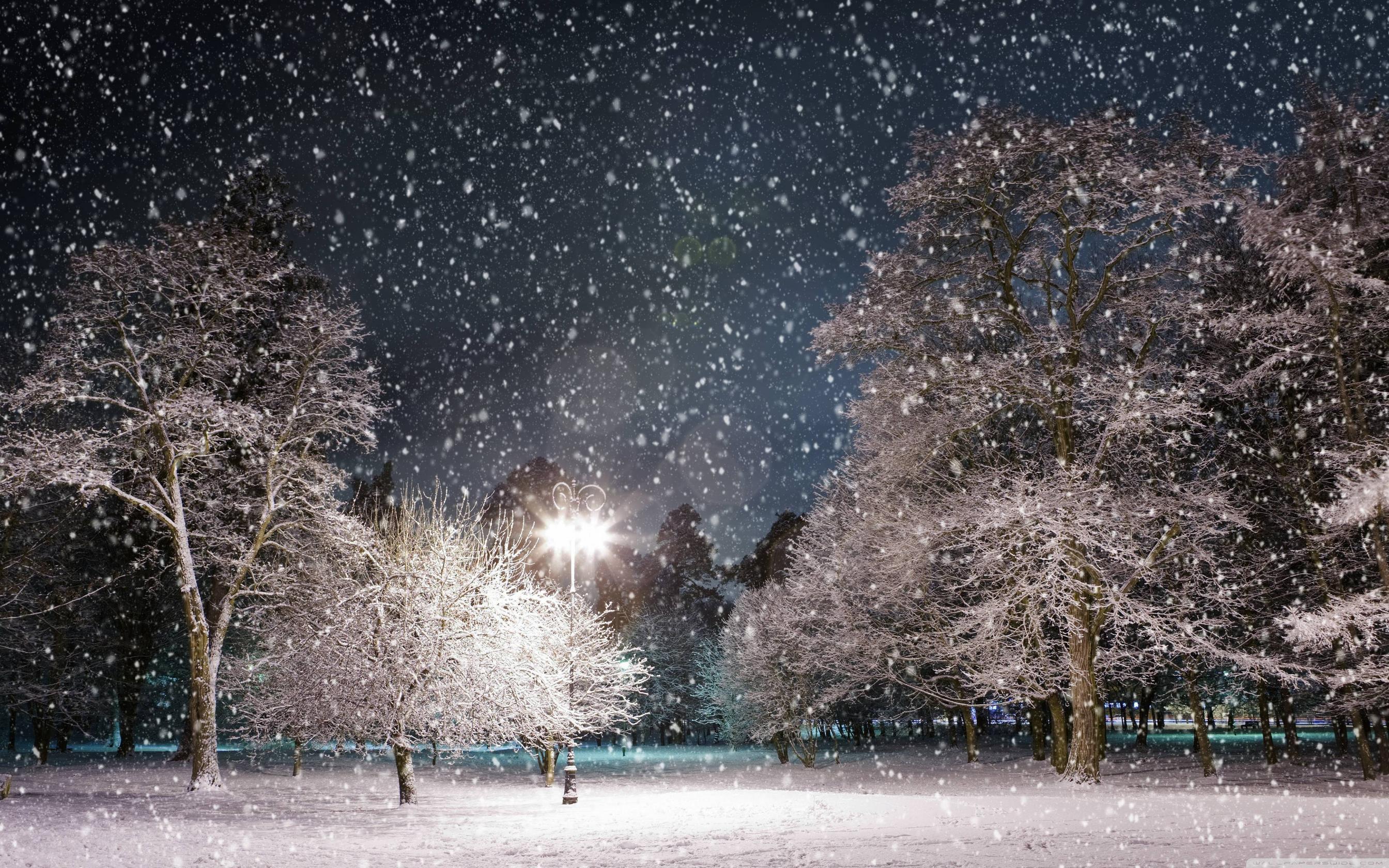 3840x2400 Free Snow Falling Wallpaper