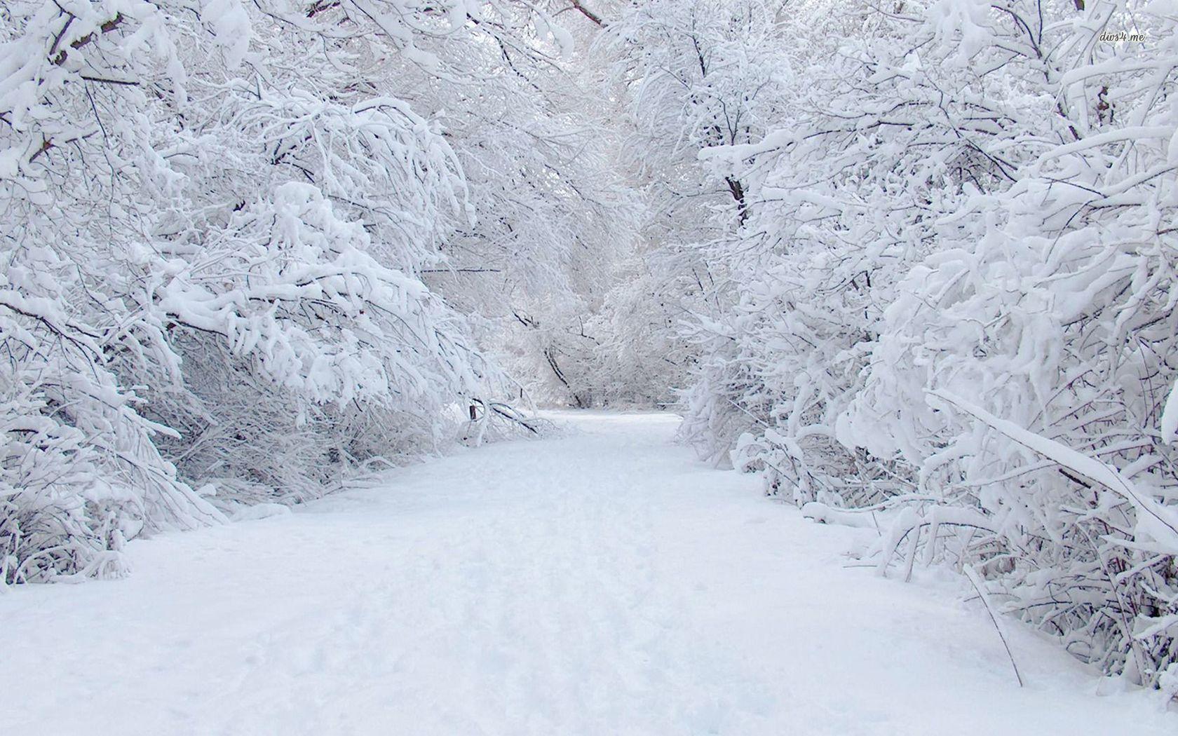 1680x1050 snow, nature nature snow wallpaper Snow Wallpaper 1680x1050