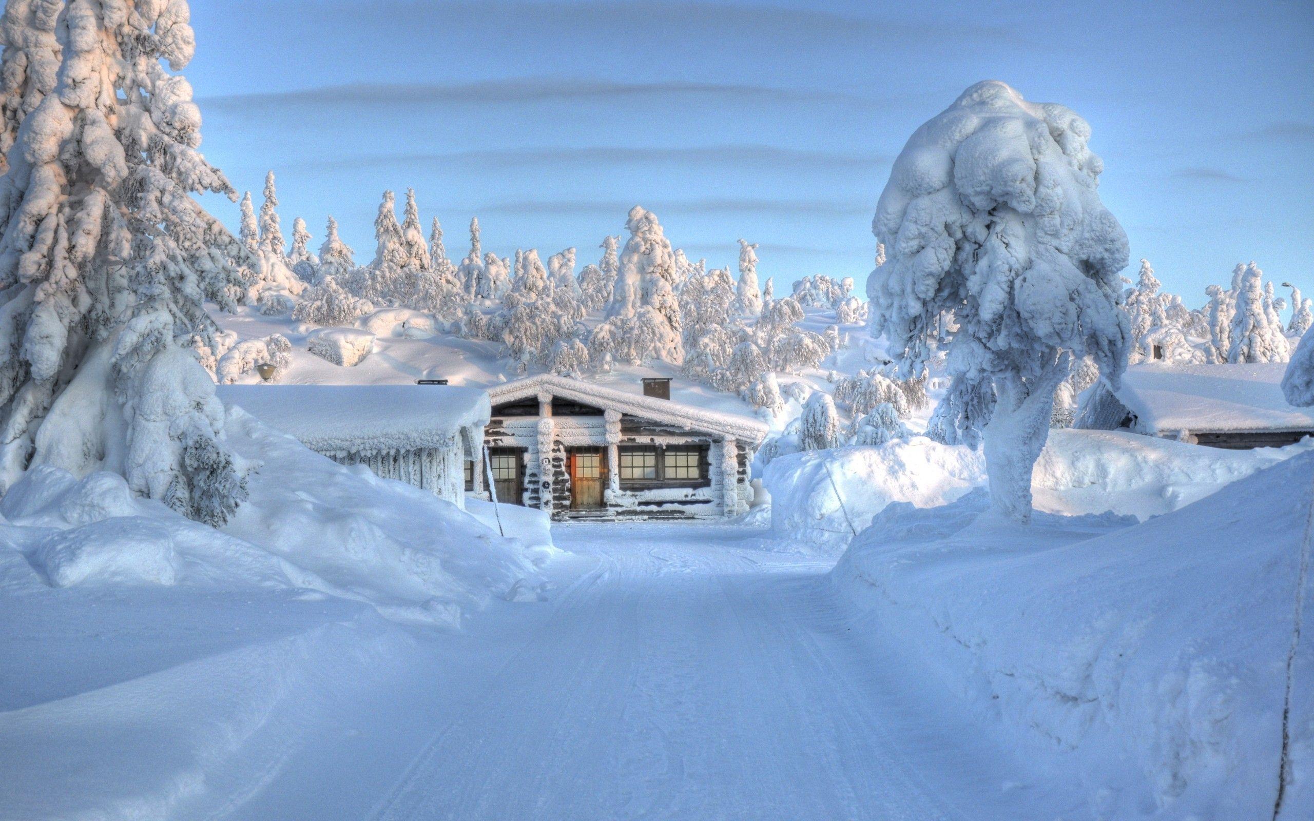 2560x1600 #landscape, #nature, #snow, #trees wallpaper. General