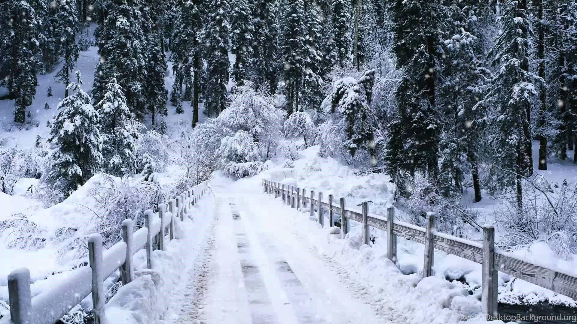 1920x1080 Real Snow Falling Wallpaper. Desktop Background