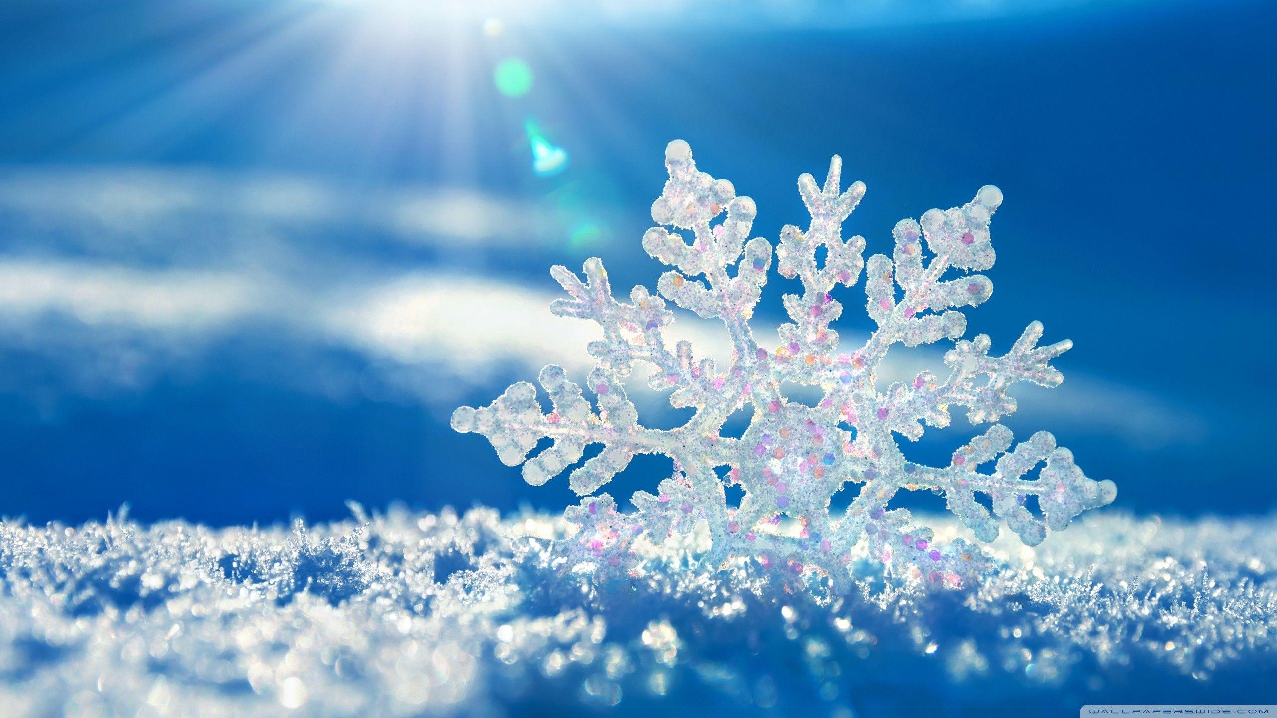 2560x1440 Snow Falling Wallpaper
