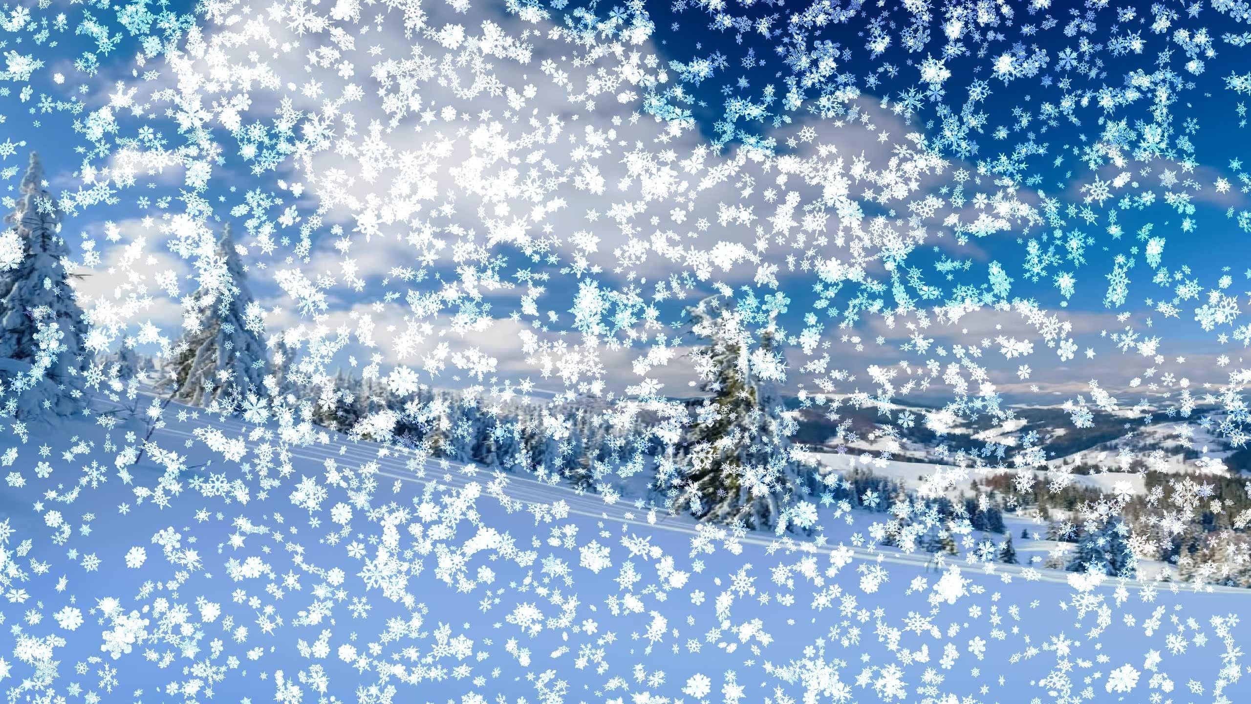 2560x1440 Snow Picture for Wallpaper