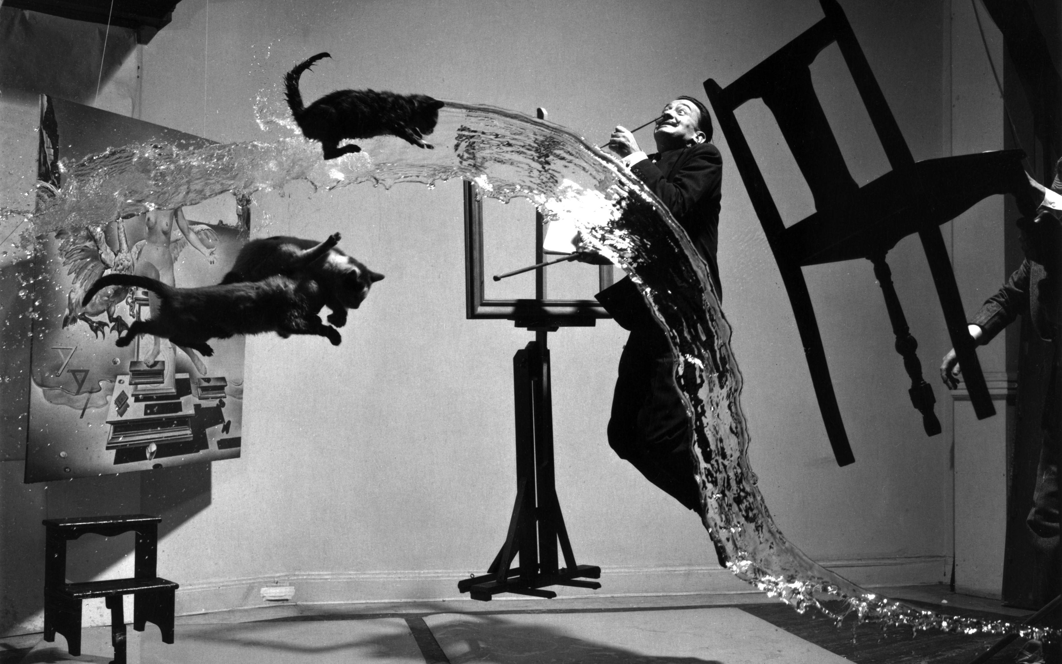 3703x2314 salvador dali monochrome cat Wallpaper HD / Desktop and Mobile