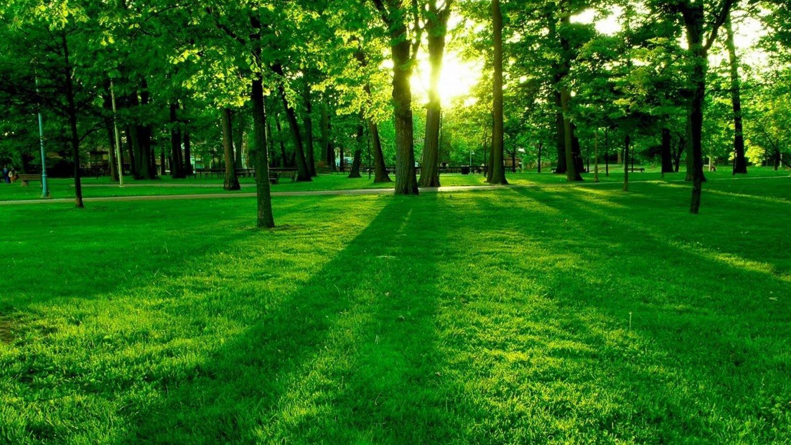 1600x900 Free download Nature Wallpaper HD Best Beautiful Mix 1600x1000