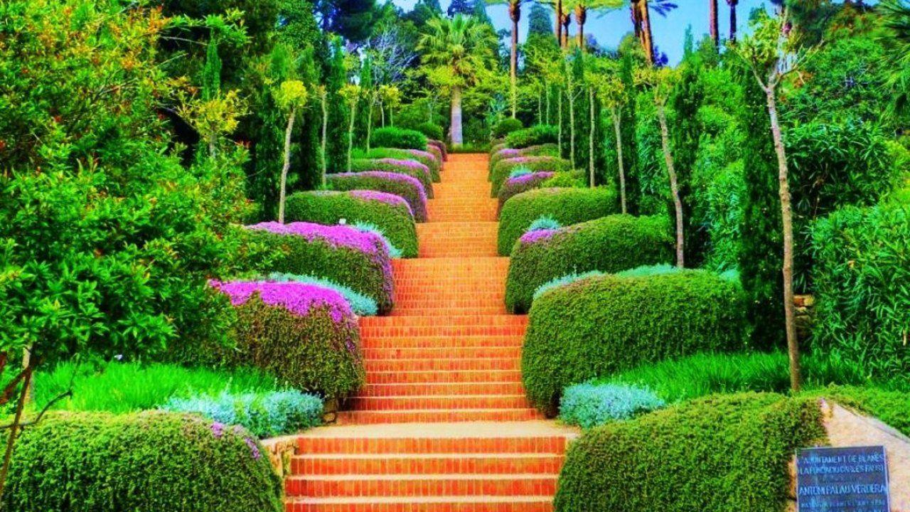 1280x720 HD Nature Wallpaper, Plant, Fresh Air, High Resolution Image