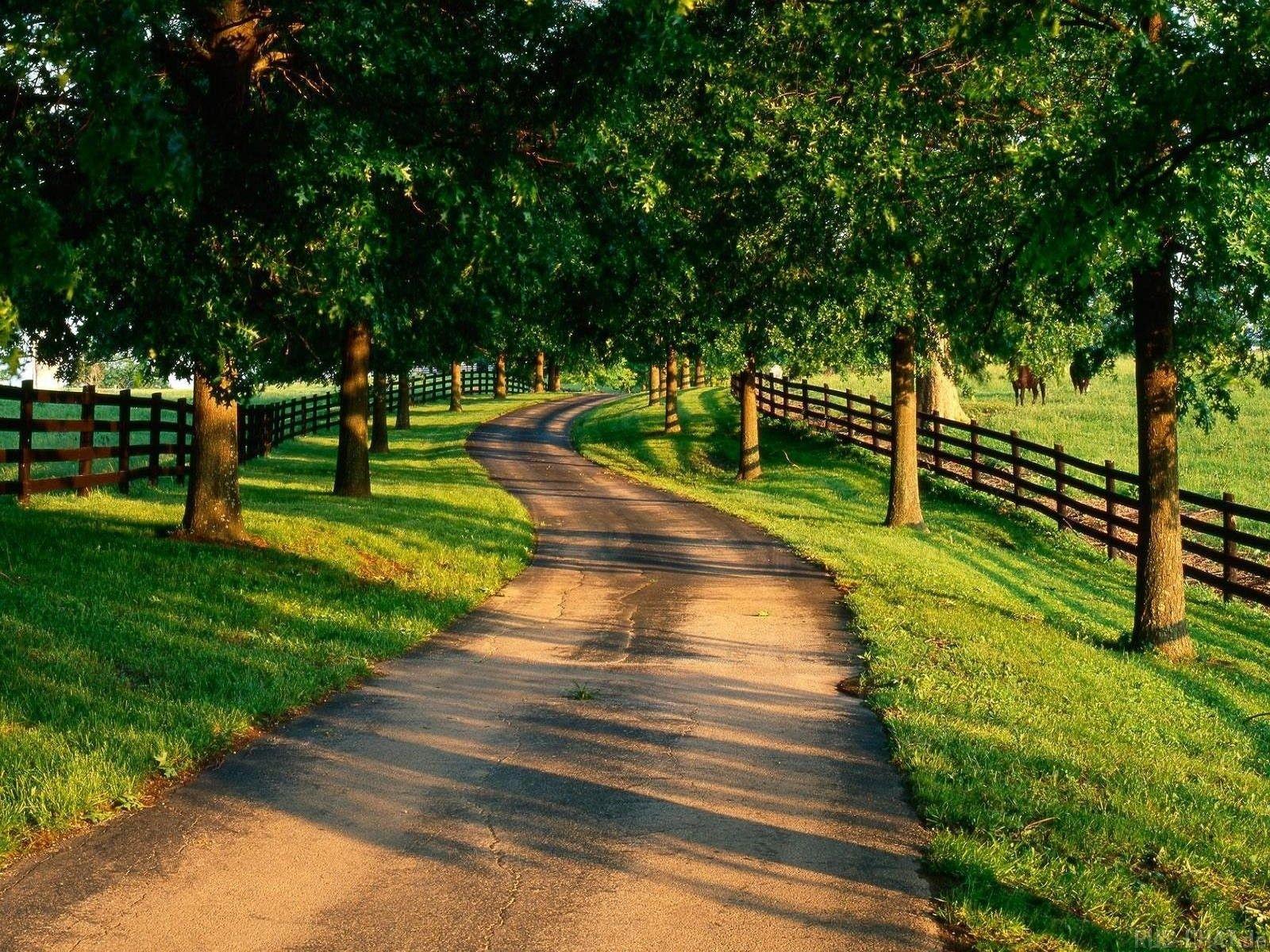 1600x1200 100 Satisfaction Best Nature Image HD