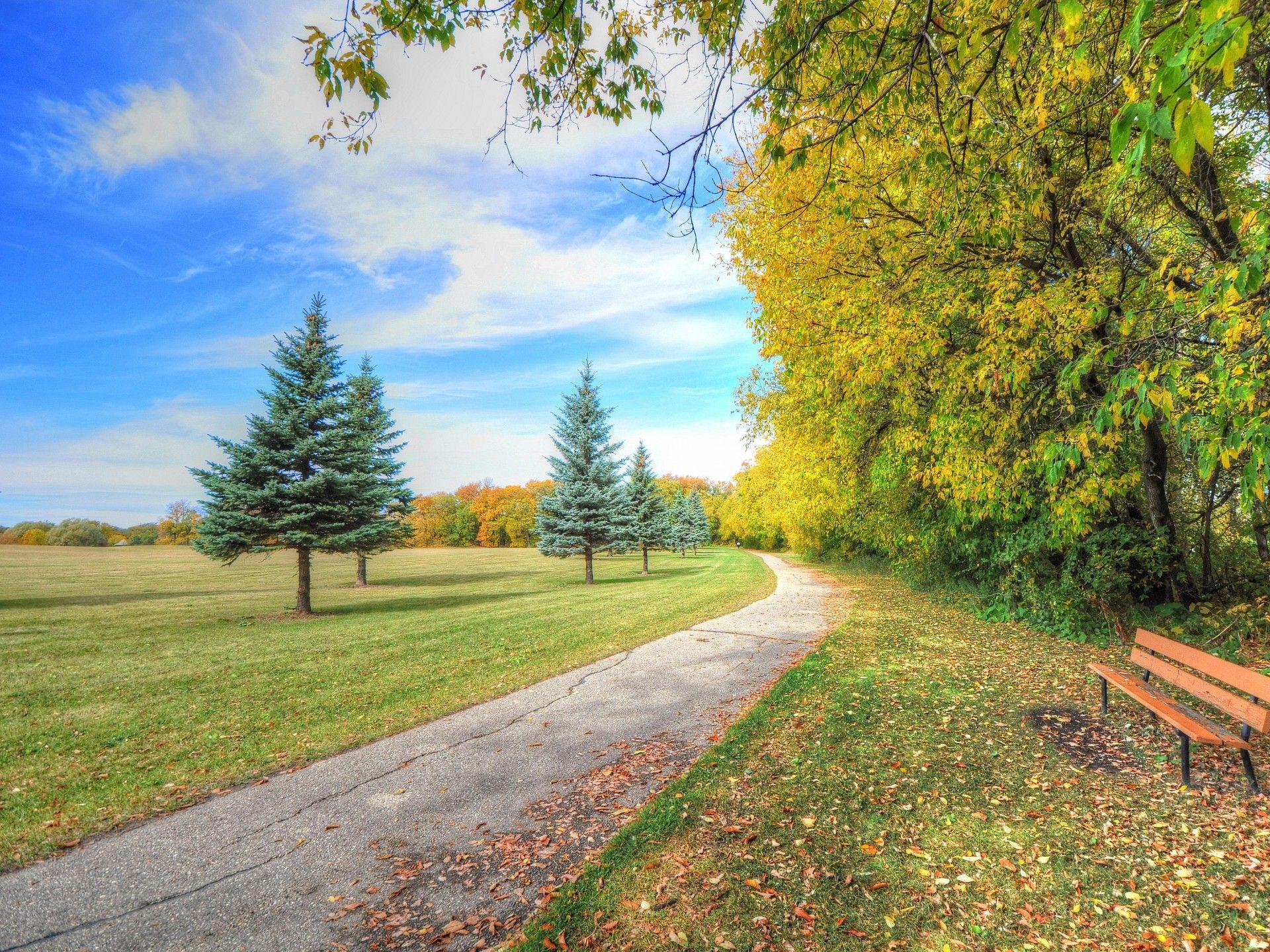 1920x1440 Best Nature Wallpaper Of 2014 2. The Art Mad