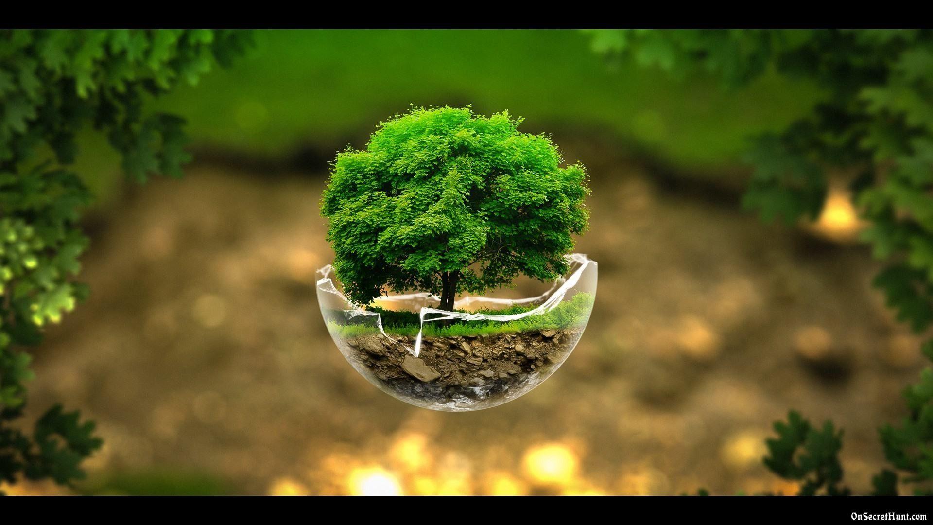 1920x1080 Best Nature wallpaper wallpaper Collections
