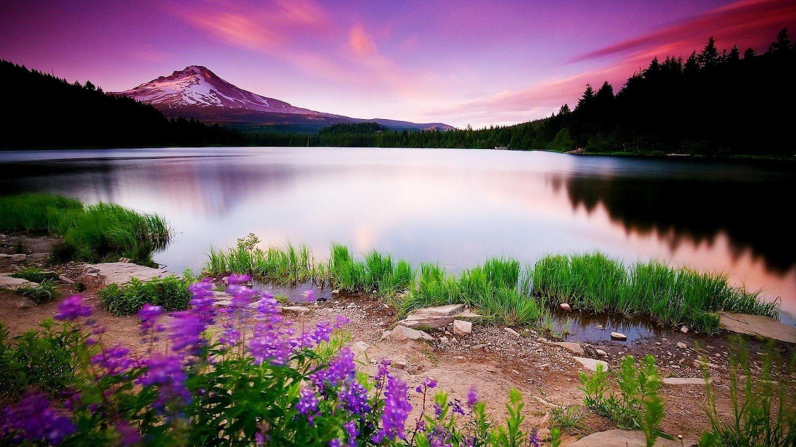 1600x900 Latest HD Nature Wallpaper