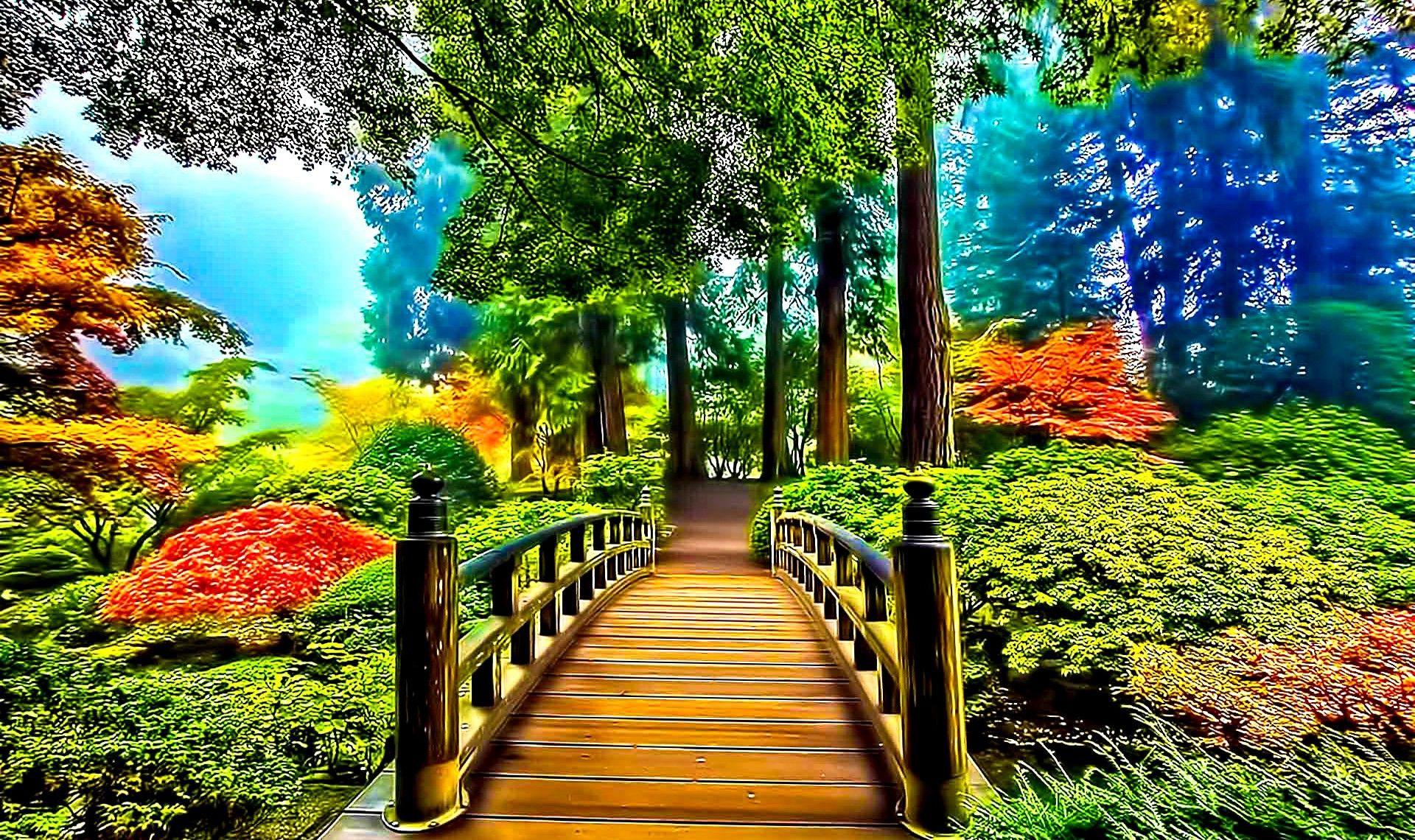1920x1140 Best Nature Wallpaper HD
