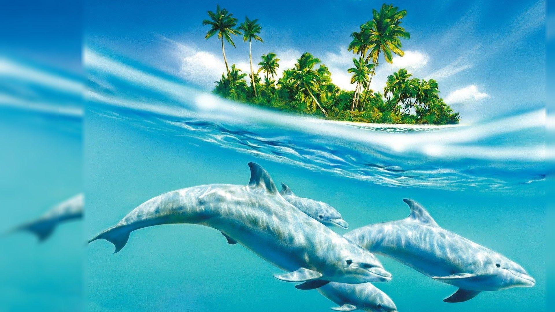 1920x1080 1920ã 1080 Best Desktop Wallpaper HD Desktop Wallpaper Ten