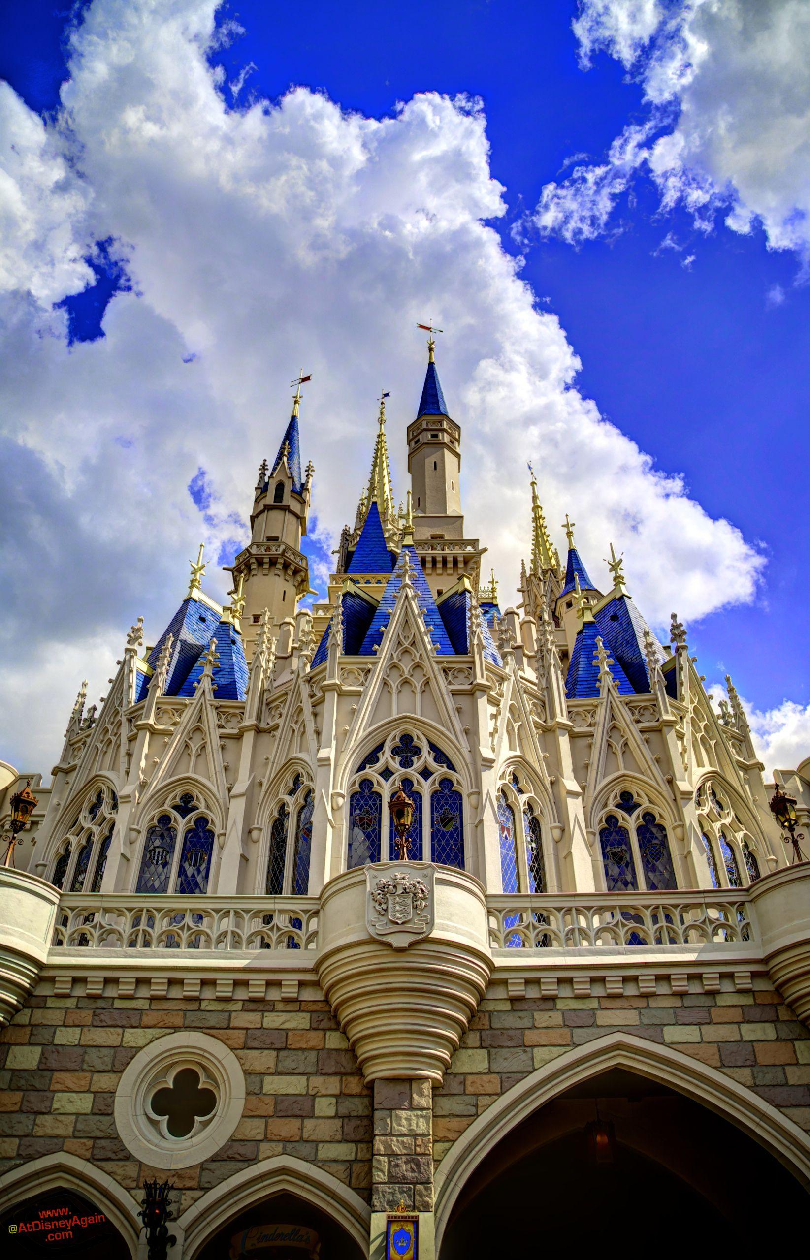 1645x2560 Cinderella Castle Wallpaper