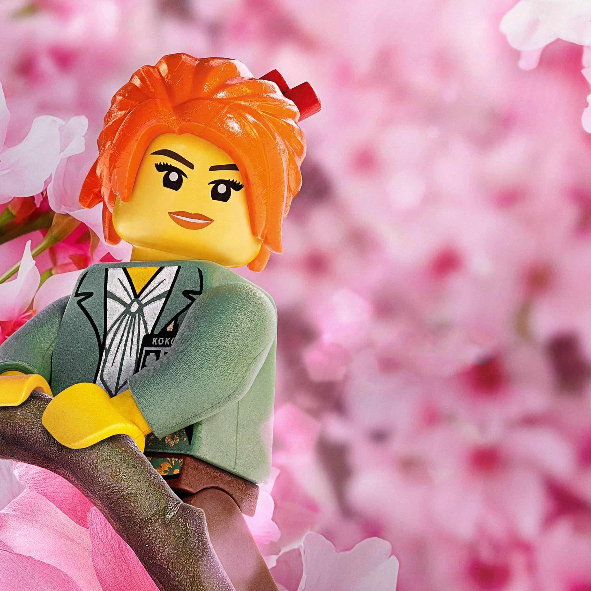 2048x2048 MISAKO The LEGO Ninjago Movie iPad Air HD 4k Wallpaper