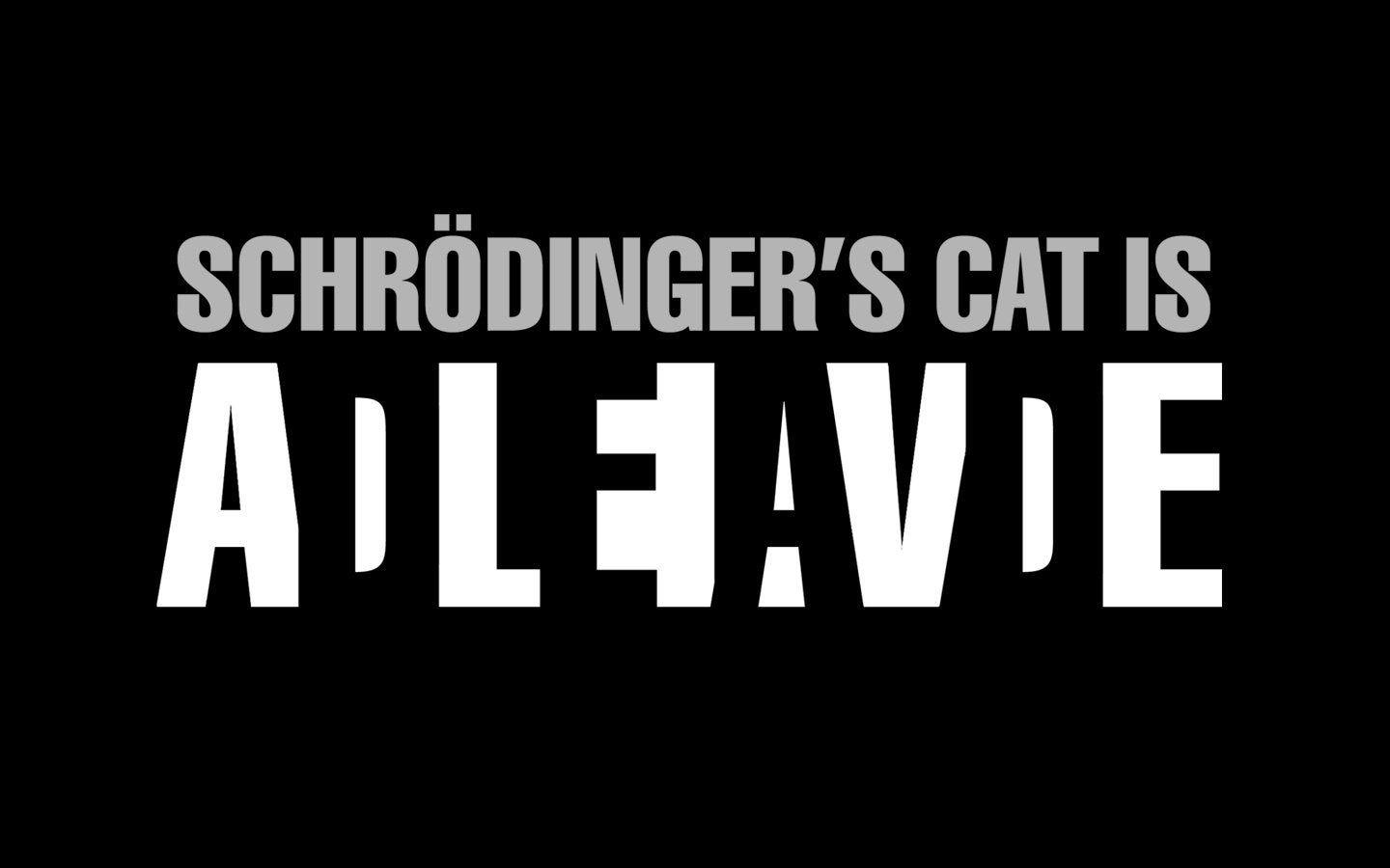 1440x900 Schrodinger's Cat Is ALIVE / DEAD