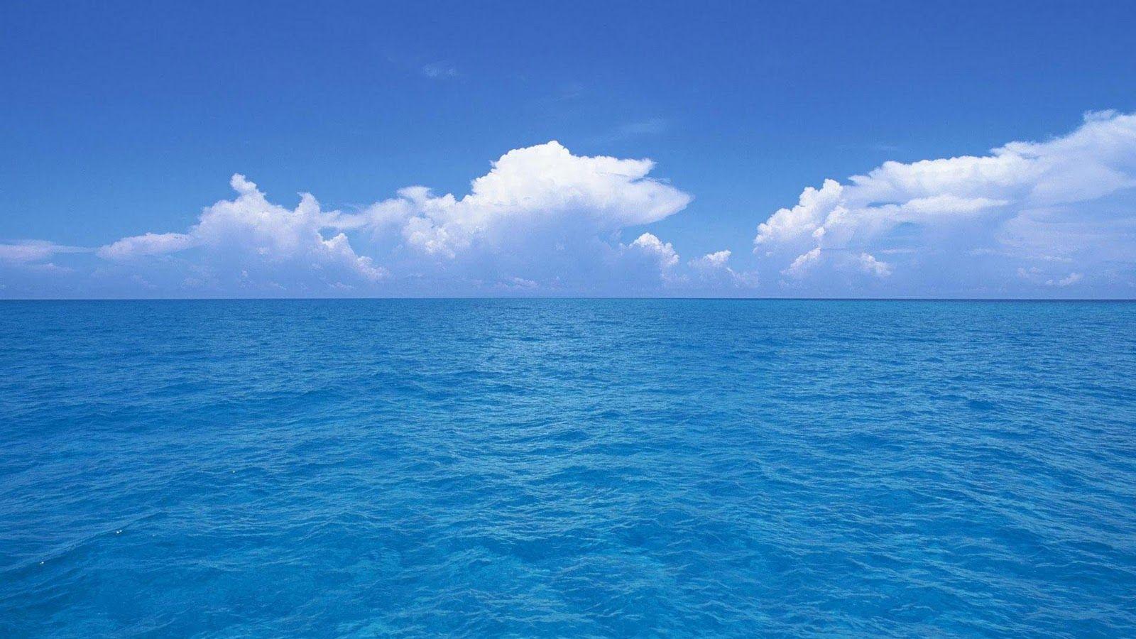 1600x900 Sea Wallpaper. Sea Dinosaurs Wallpaper