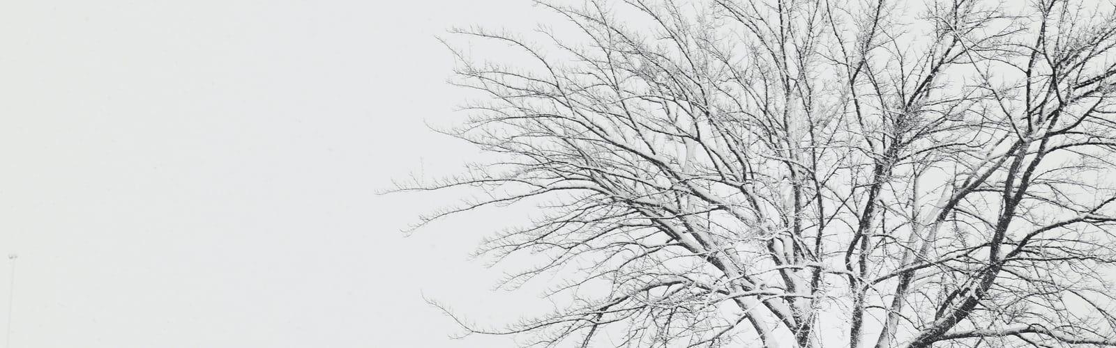 1600x500 sleek best free sleek, white, wallpaper and architecture