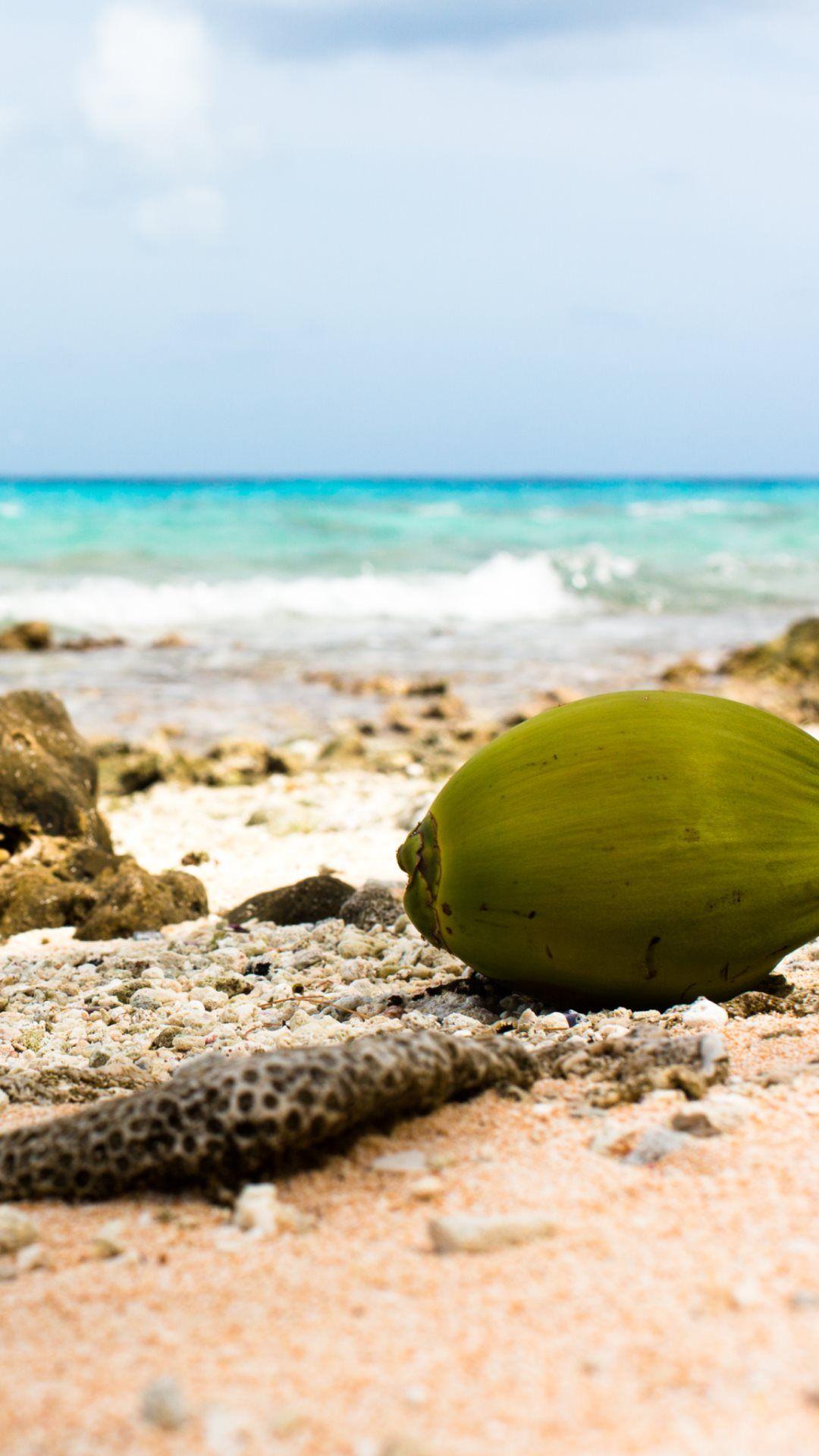 1080x1920 Coconut on Rocky Beach Android Wallpaper wallpaper. iOS