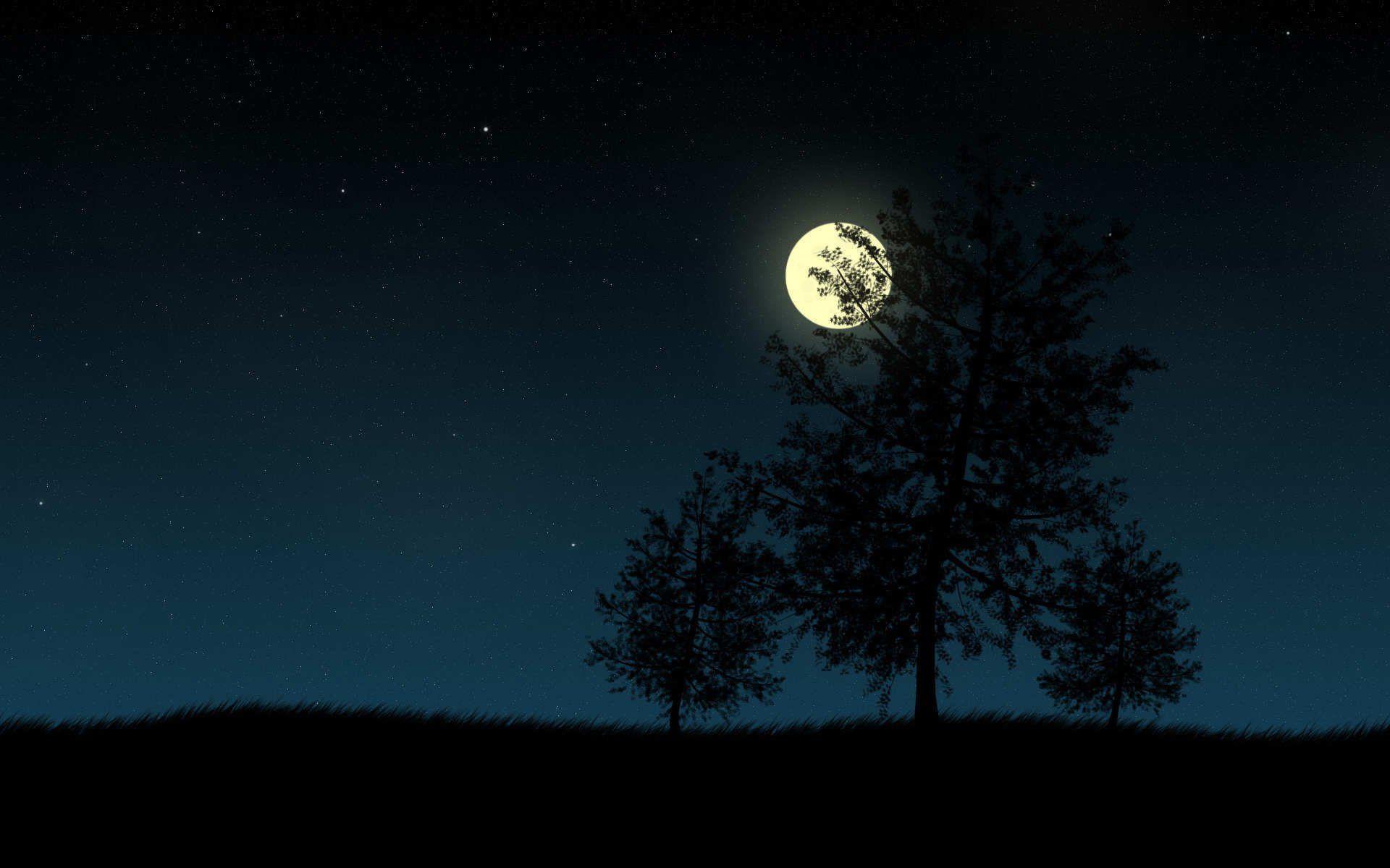 1920x1200 Starry night, full moon