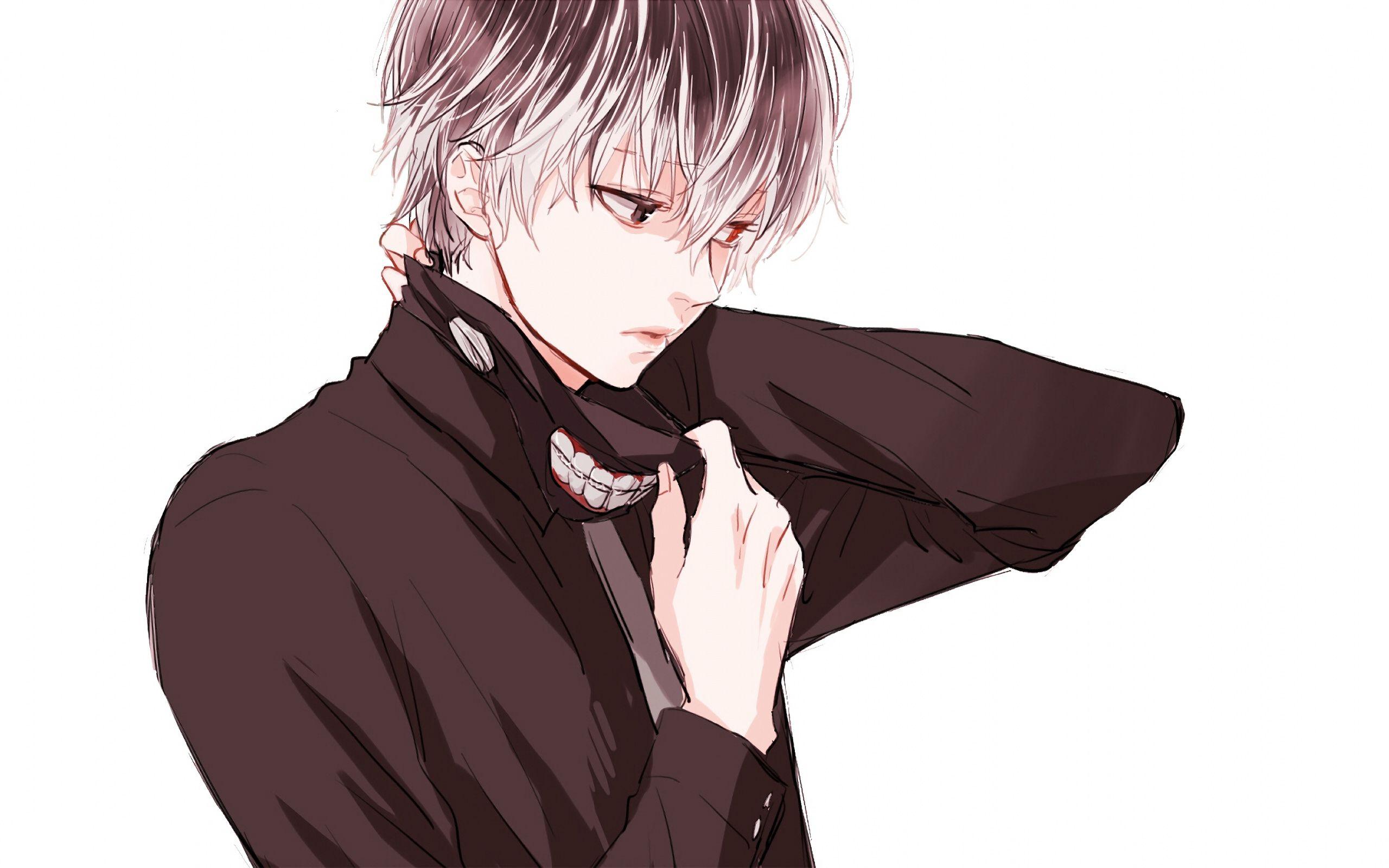 2560x1600 Download Artwork, Haise Sasaki, Tokyo Ghoul Re, Anime Boy, Artwork