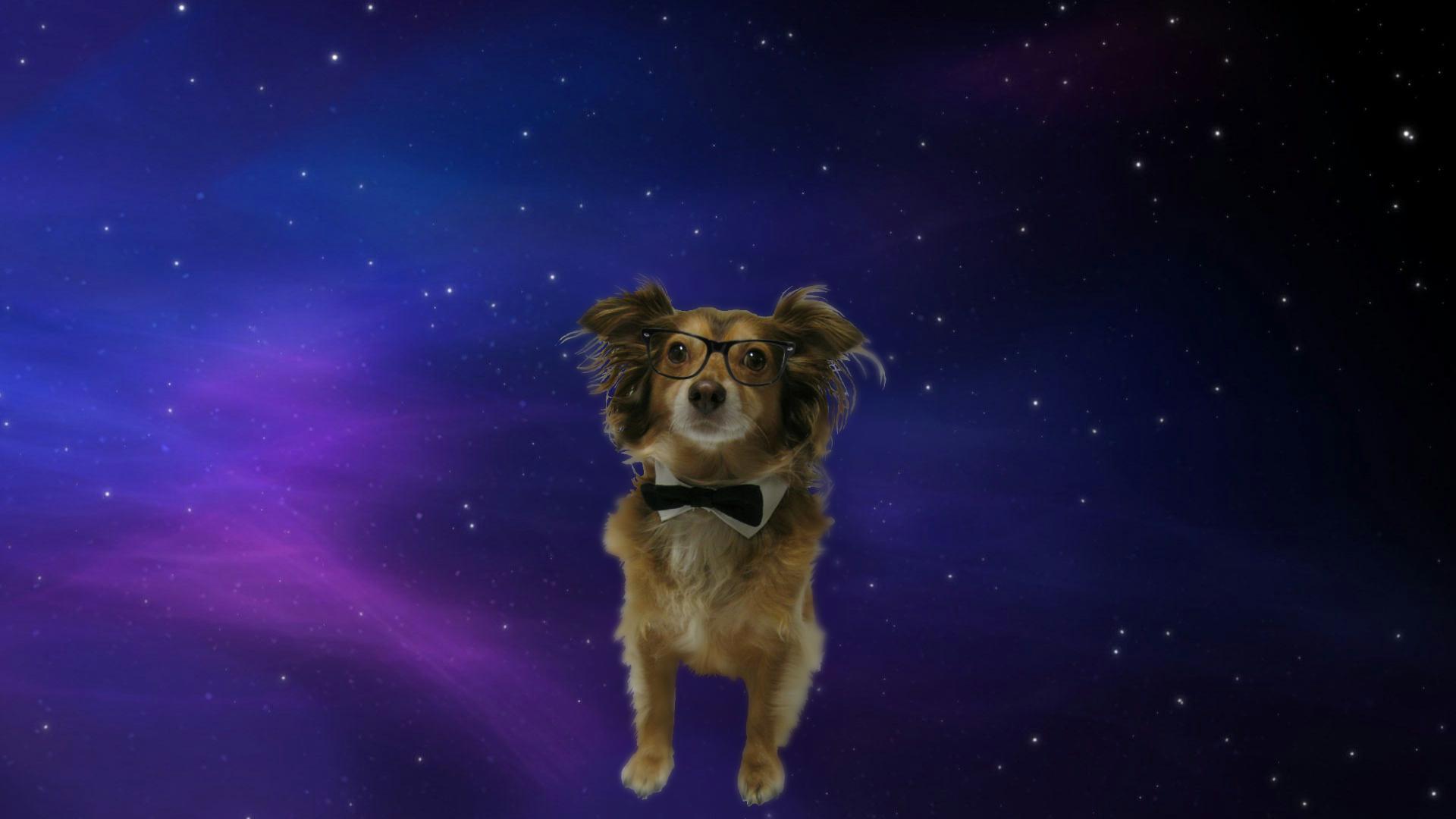 1920x1080 Astronomy, Outer Space, Space, Universe, Animal resized