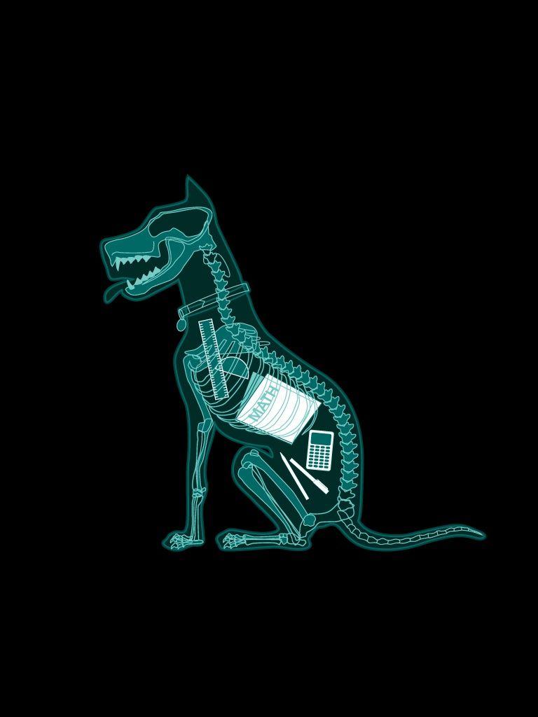 768x1024 Vui nhộn Hài hước Con chó Trường học Chó X Ray Hình nền IPhone HD Miễn phí