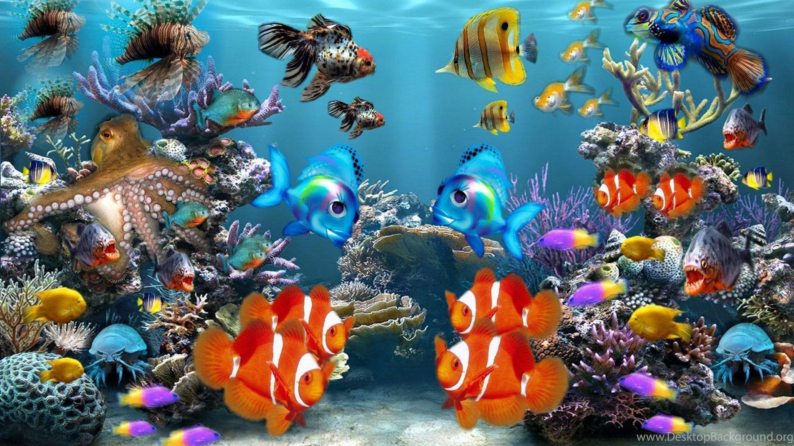 2560x1440 Colorful Fishes Wallpaper Desktop Background