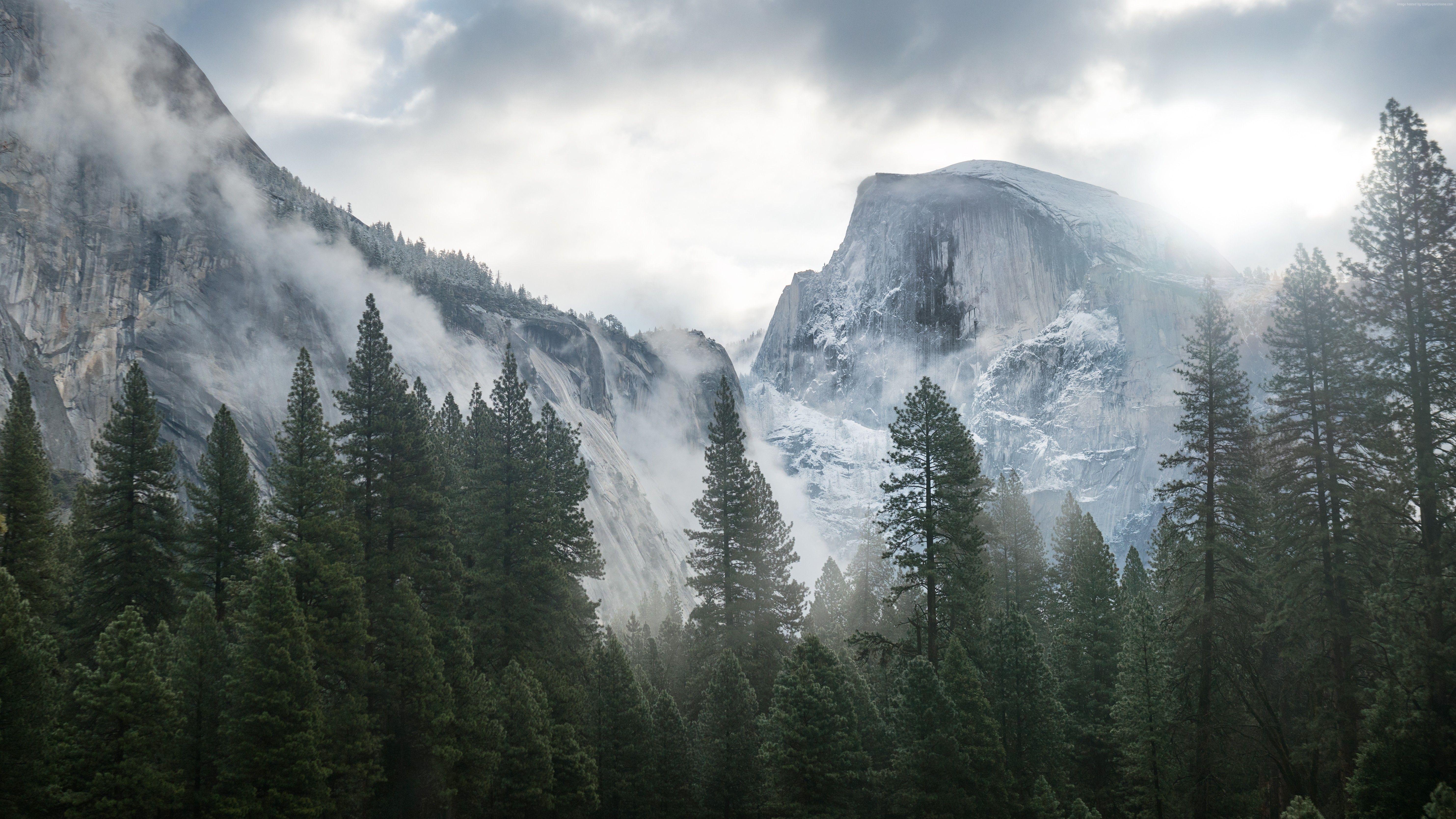 5932x3337 Hình nền Yosemite, 5k, Hình nền 4k, 8k, rừng, OSX, táo