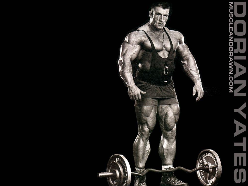 1024x768 Dorian Yates Wallpaper. Brian Yates