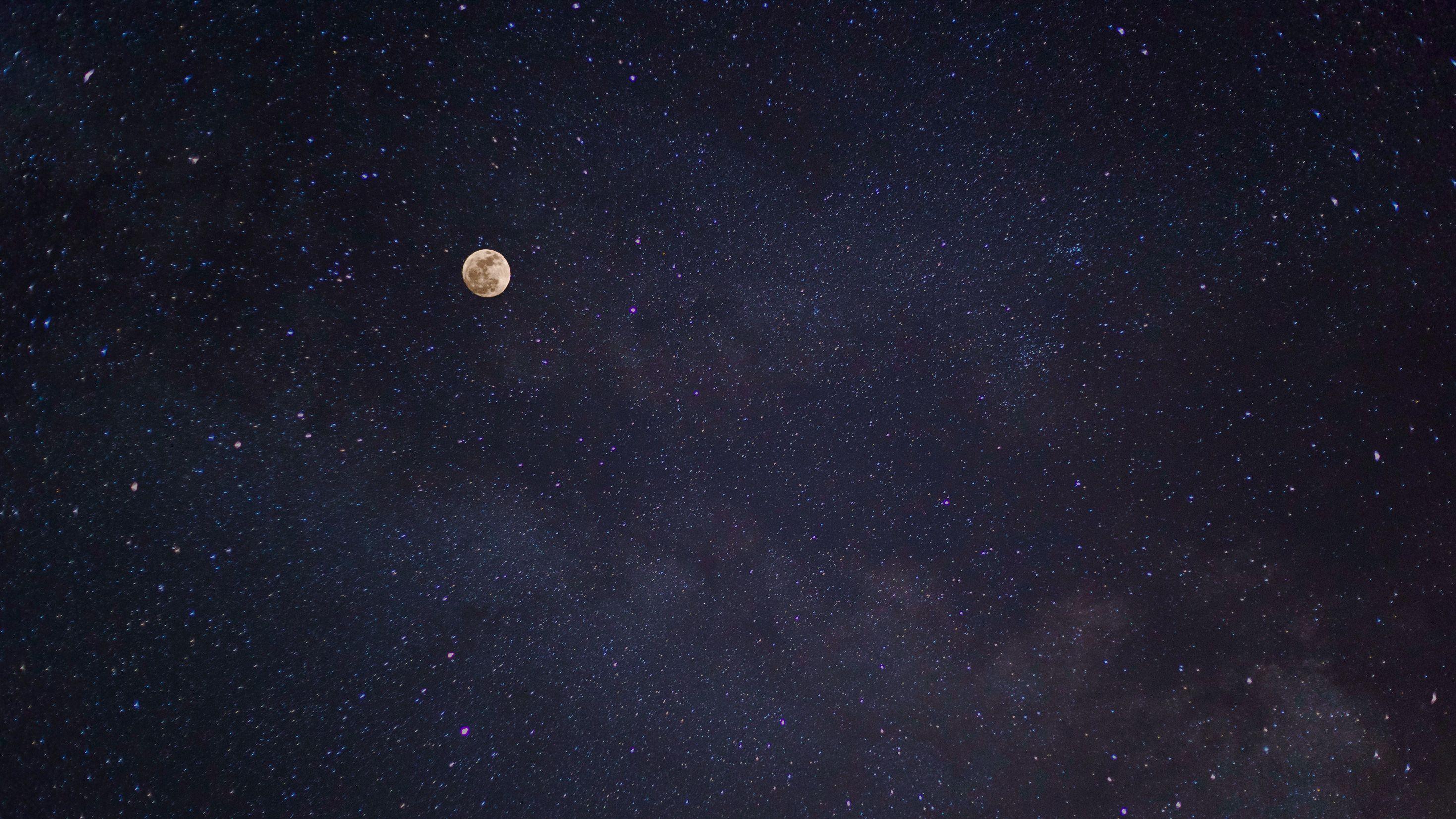 Vampire Castle Night Sky Moon Wallpaper 4K #4.3292