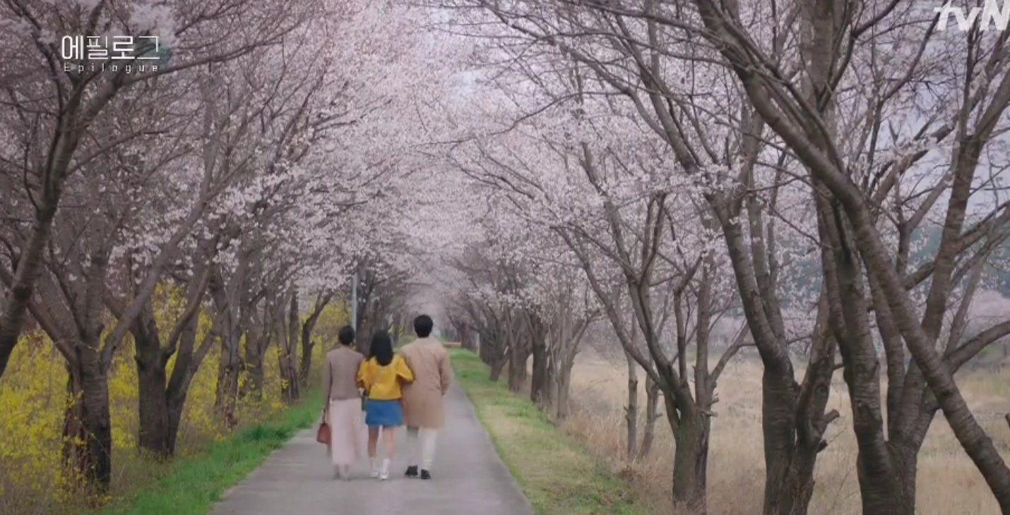 1430x730 Hi bye mama wallpaper quotes