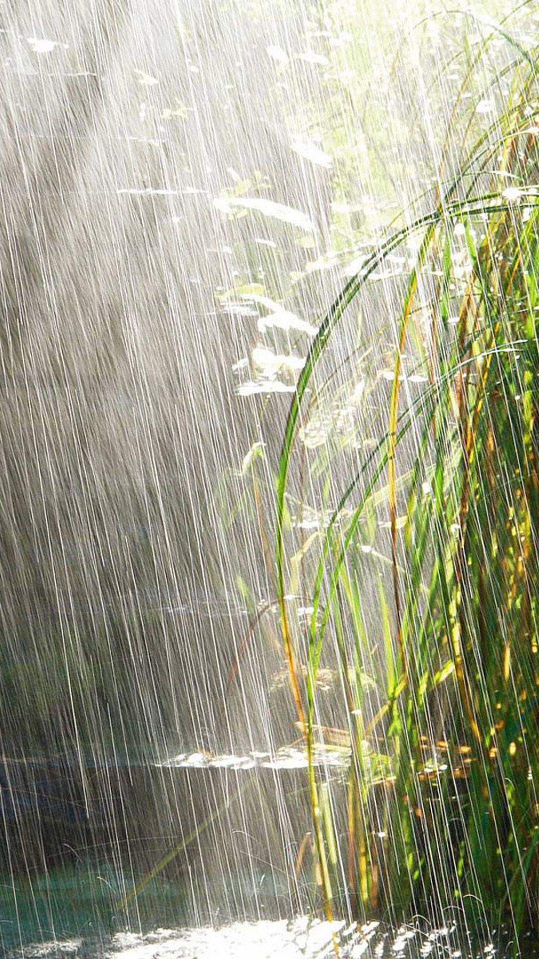 1080x1920 Nature Summer Rain Scene iPhone 8 Wallpaper Free Download
