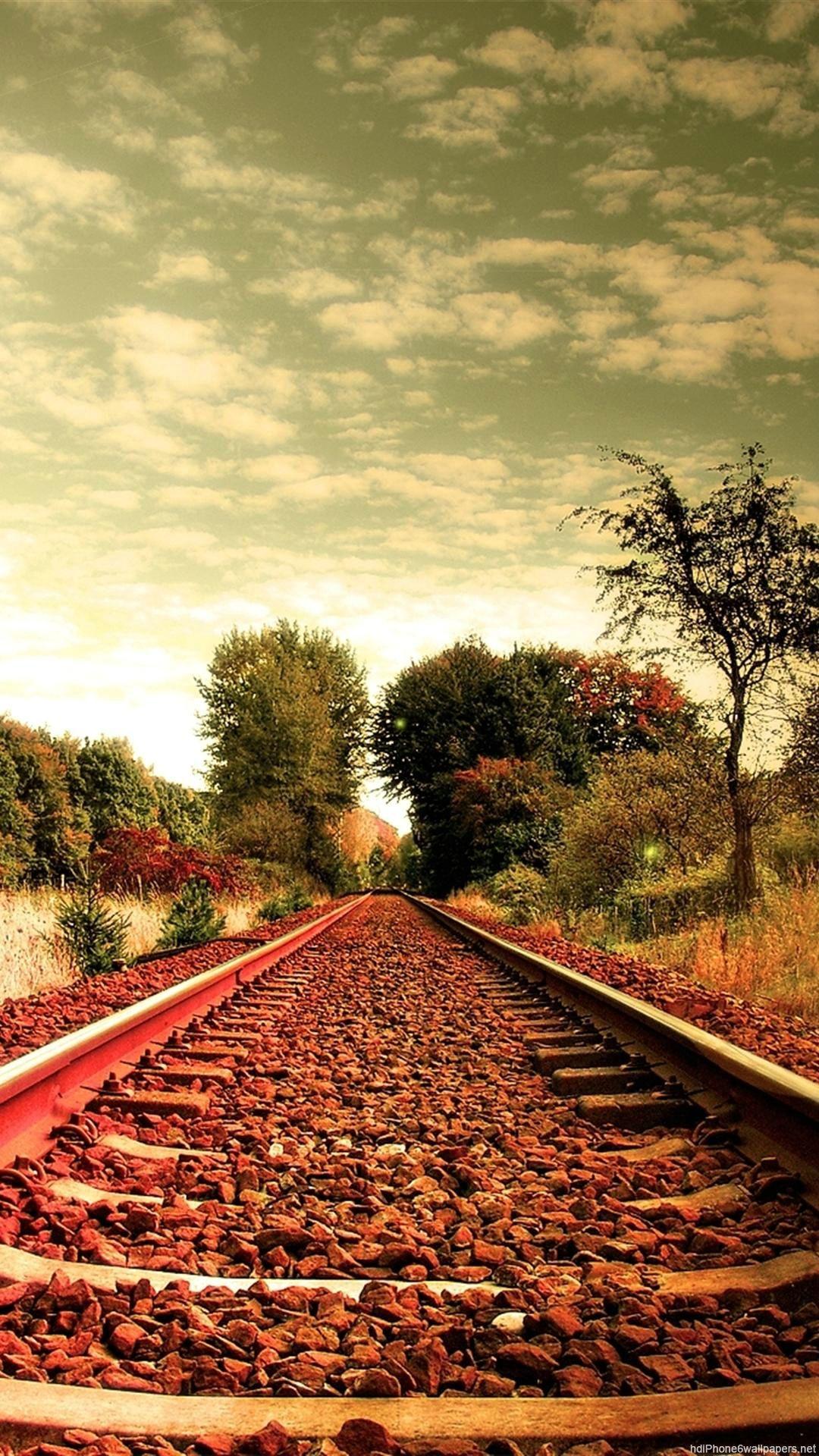 1080x1920 Travel Tree Road Nature Sky iPhone HD And Background Mobile