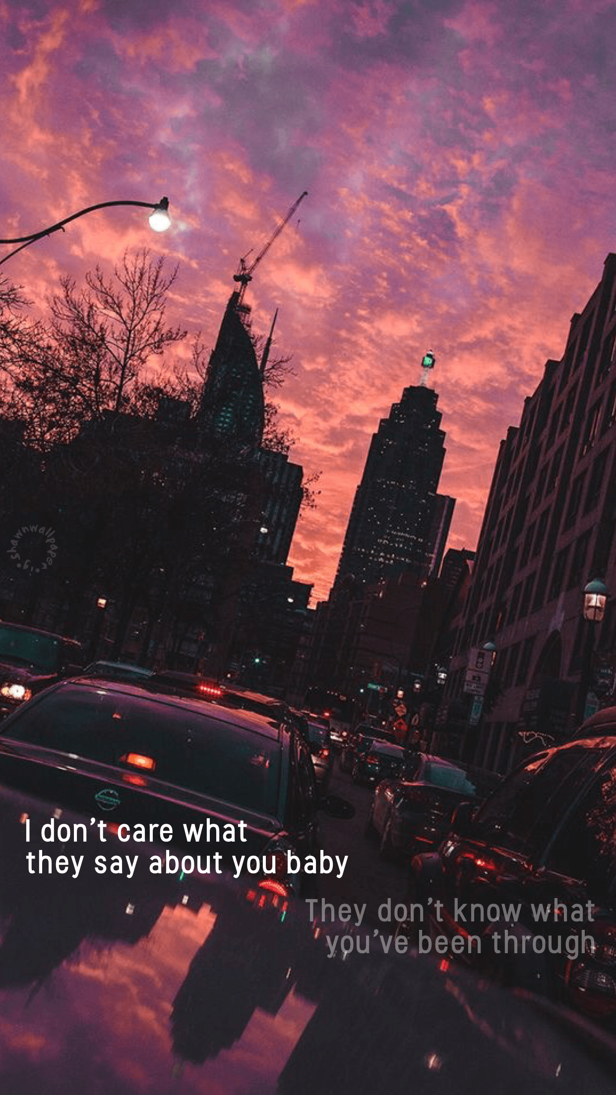 1242x2208 Shawn Mendes Wallpaper