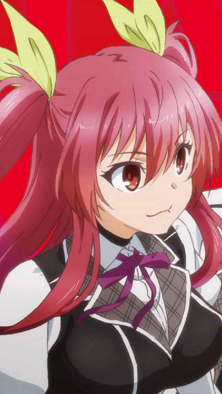 720x1280 Rakudai Kishi no Cavalry Stella Vermillion.HTC Windows Phone 8X