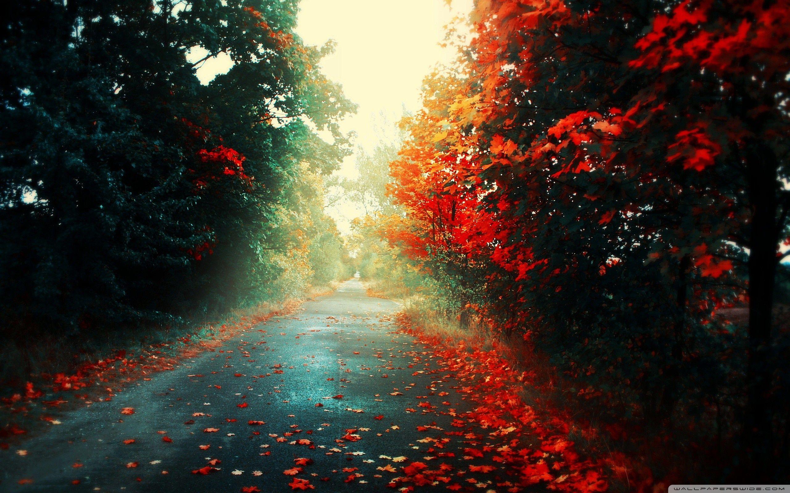 2560x1600 Chill Wallpaper High Definition