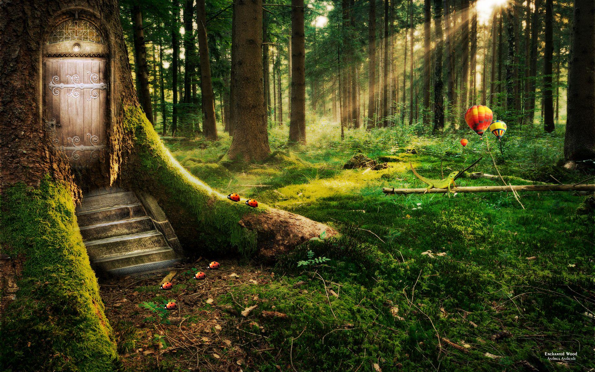 Enchanted Forest Wallpapers - Top Free Enchanted Forest Backgrounds -  WallpaperAccess