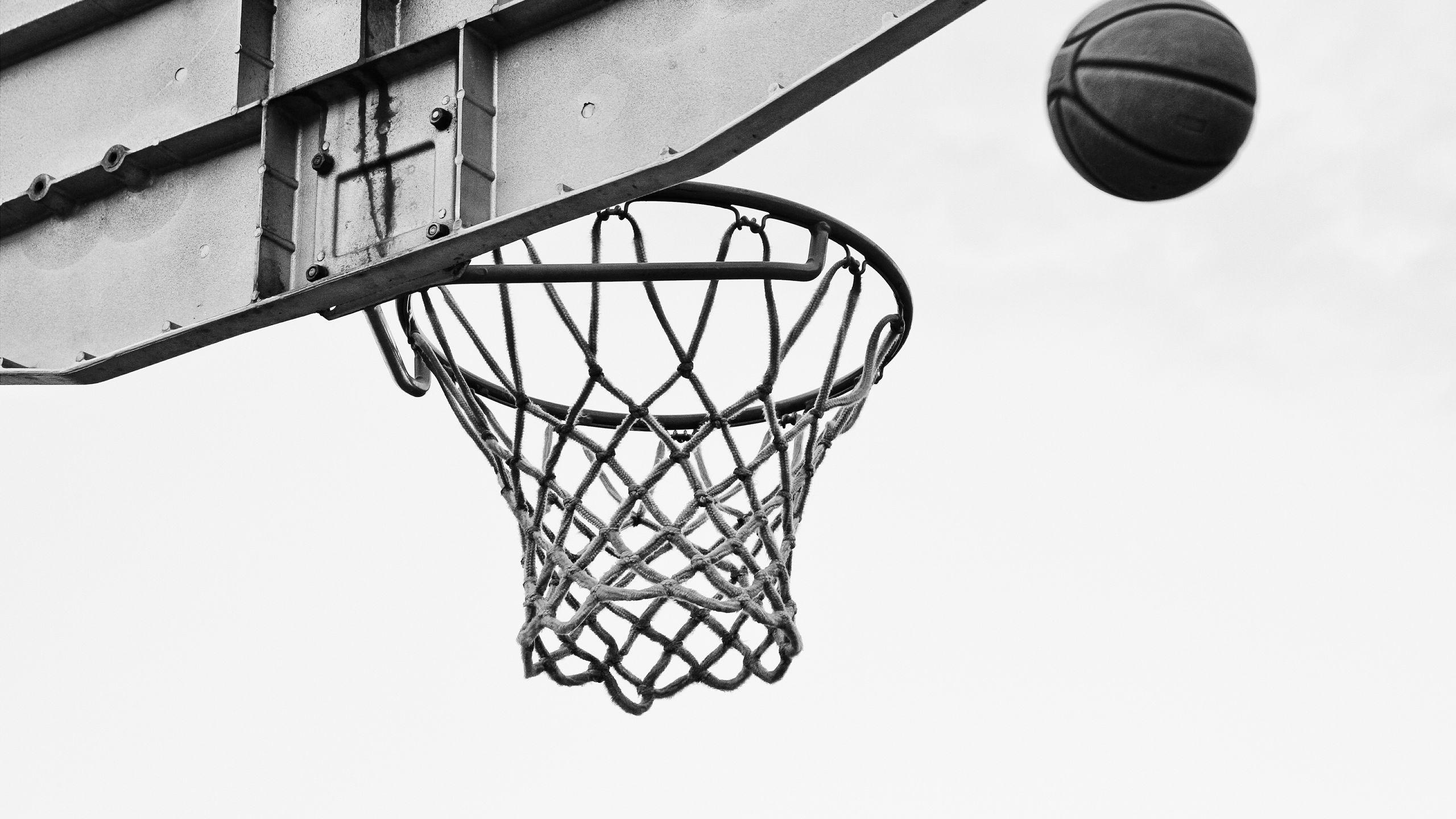 2560x1440 Download wallpaper 2560x1440 basketball, net, ring, bw widescreen