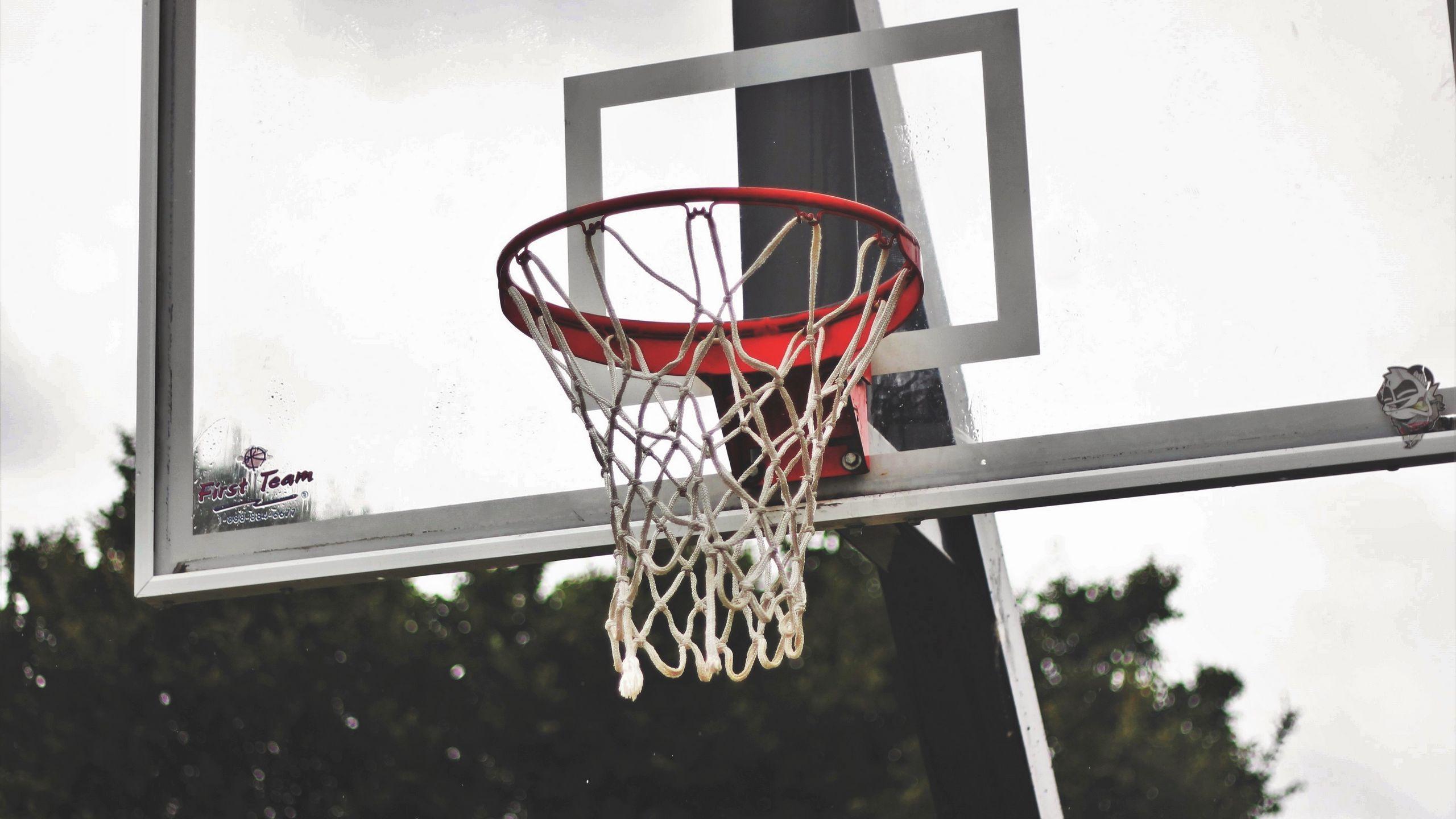 2560x1440 Download wallpaper 2560x1440 basketball shield, basketball, mesh