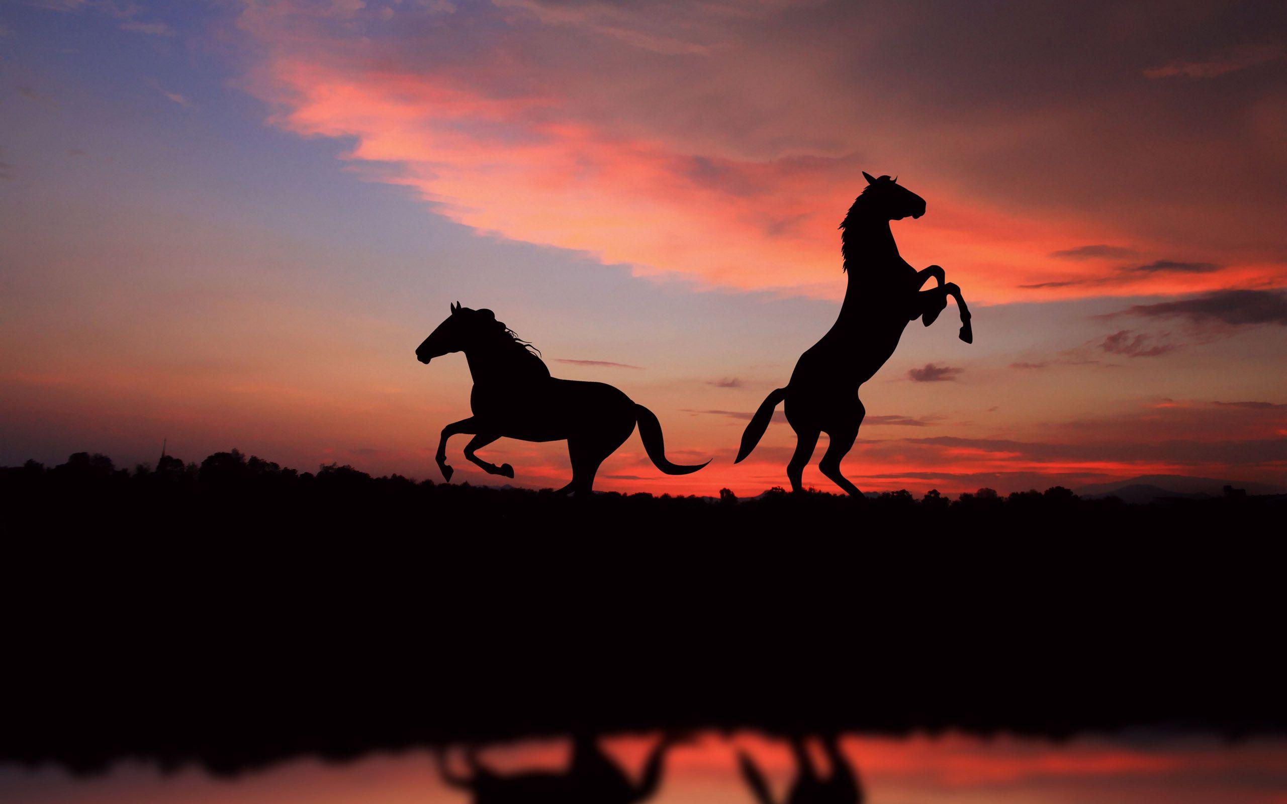 Horse Sunset Wallpapers - Top Free ...