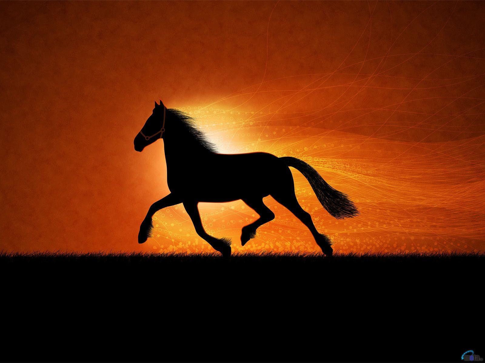 Horse Sunset Wallpapers Top Free Horse Sunset Backgrounds