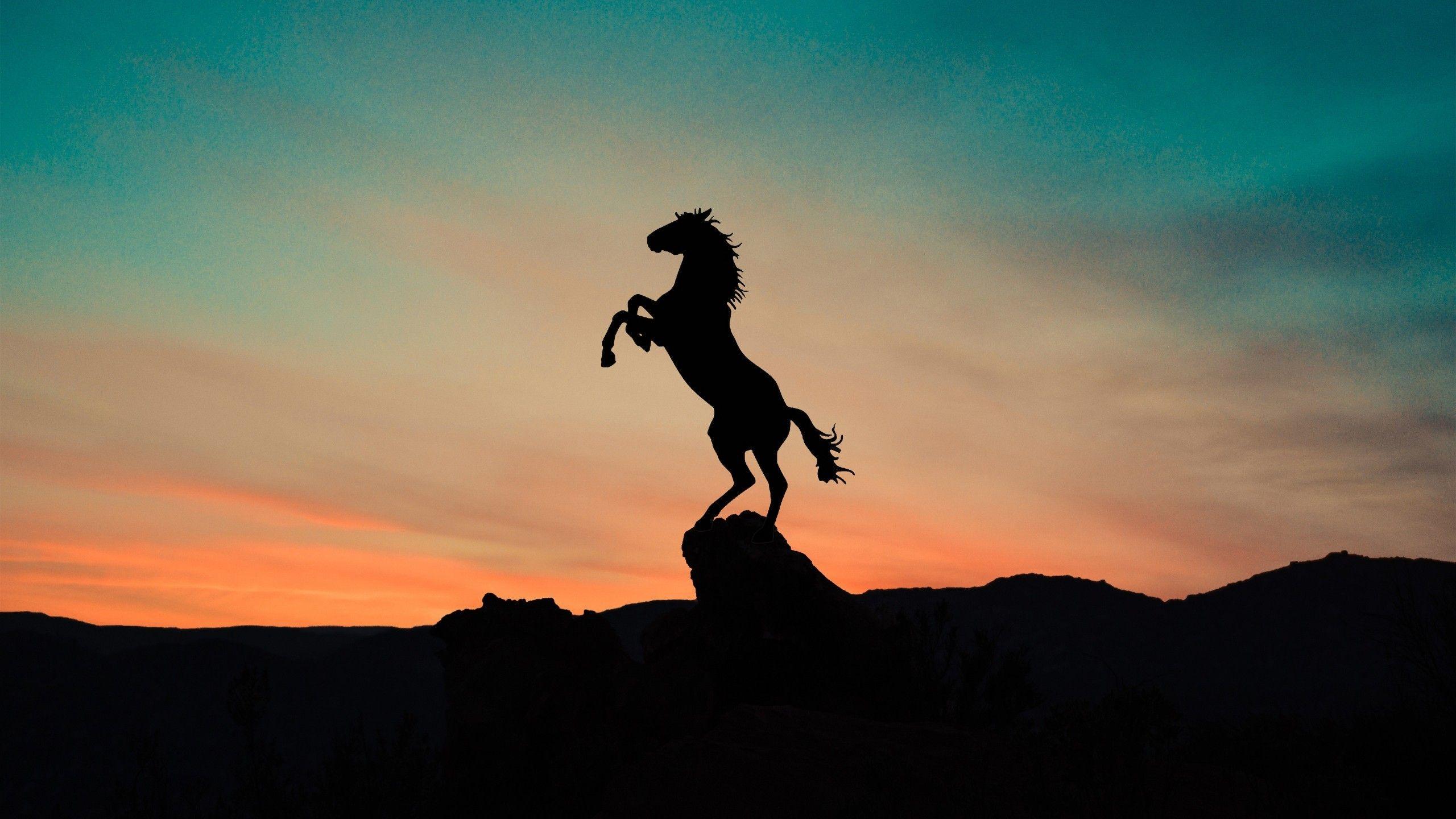 Sunset Horse Silhouette Acrylic Painting Hd Wallpaper  Wallpapers13com