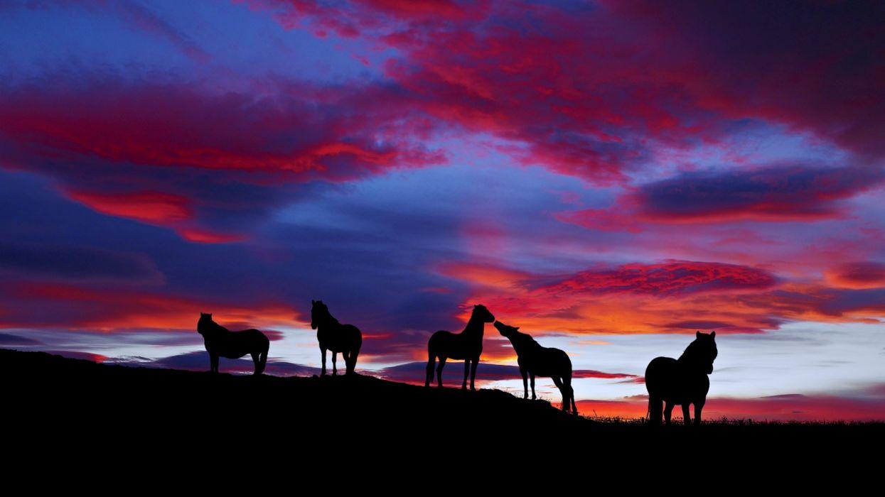 1245x700 Sunset horses cloud landscape nature wild wallpaperx2160