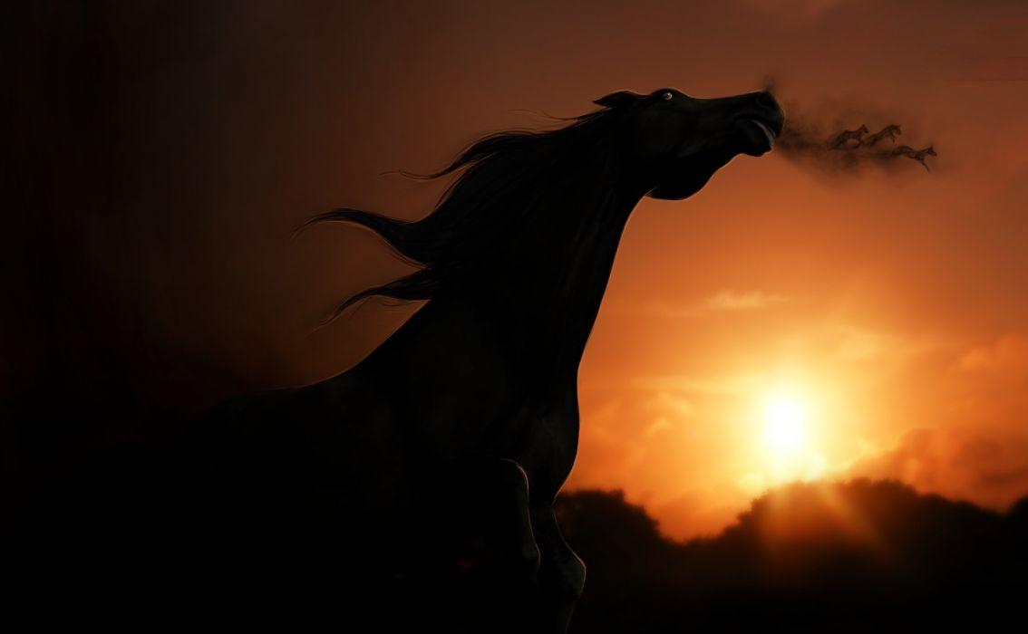 Horse Sunset Wallpapers Top Free Horse Sunset Backgrounds
