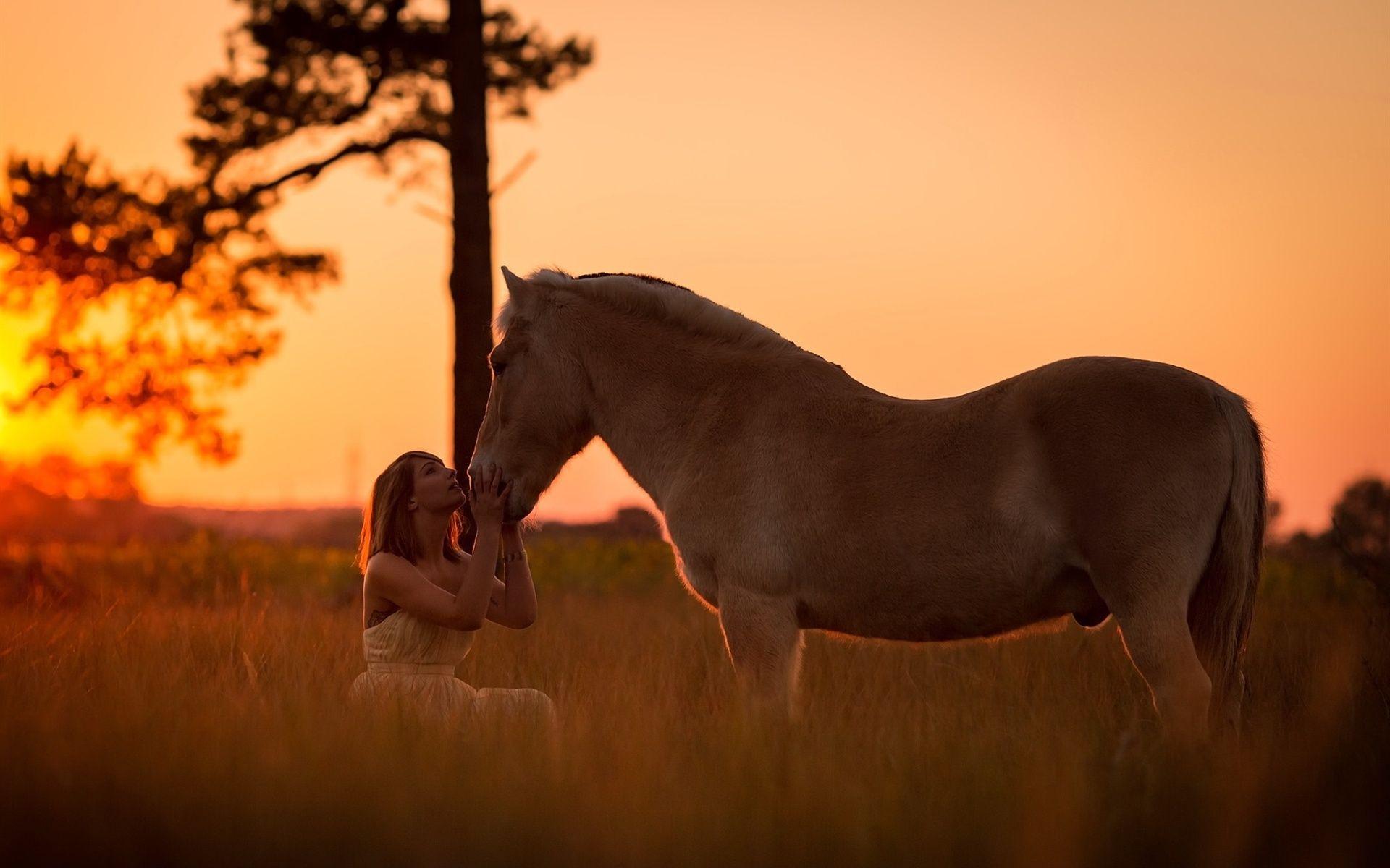 1920x1200 Wallpaper Girl and horse at sunset 1920x1200 HD Picture, Image