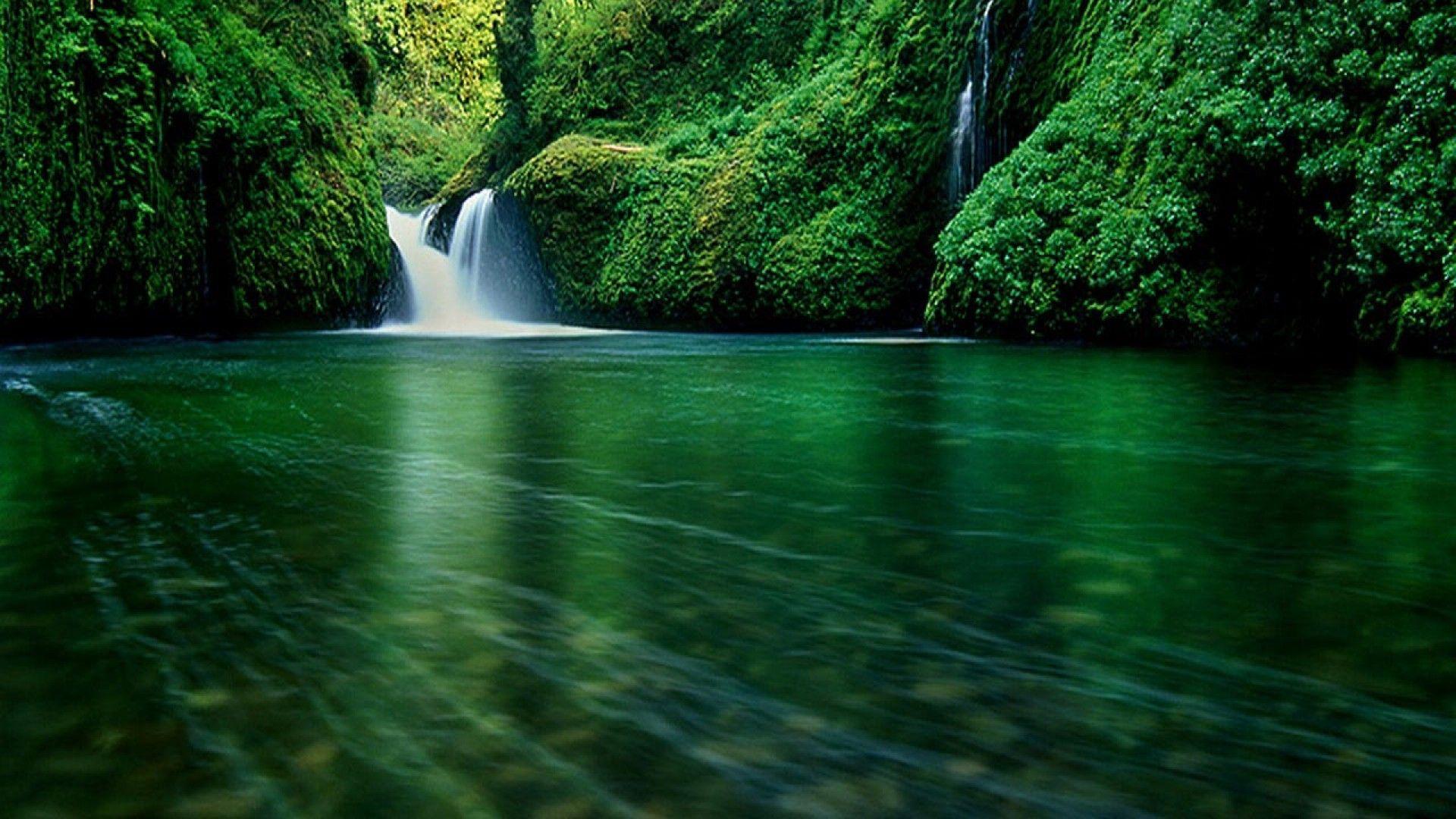 1920x1080 wallpaper download adventures the enchanted forest wallpaper in HD