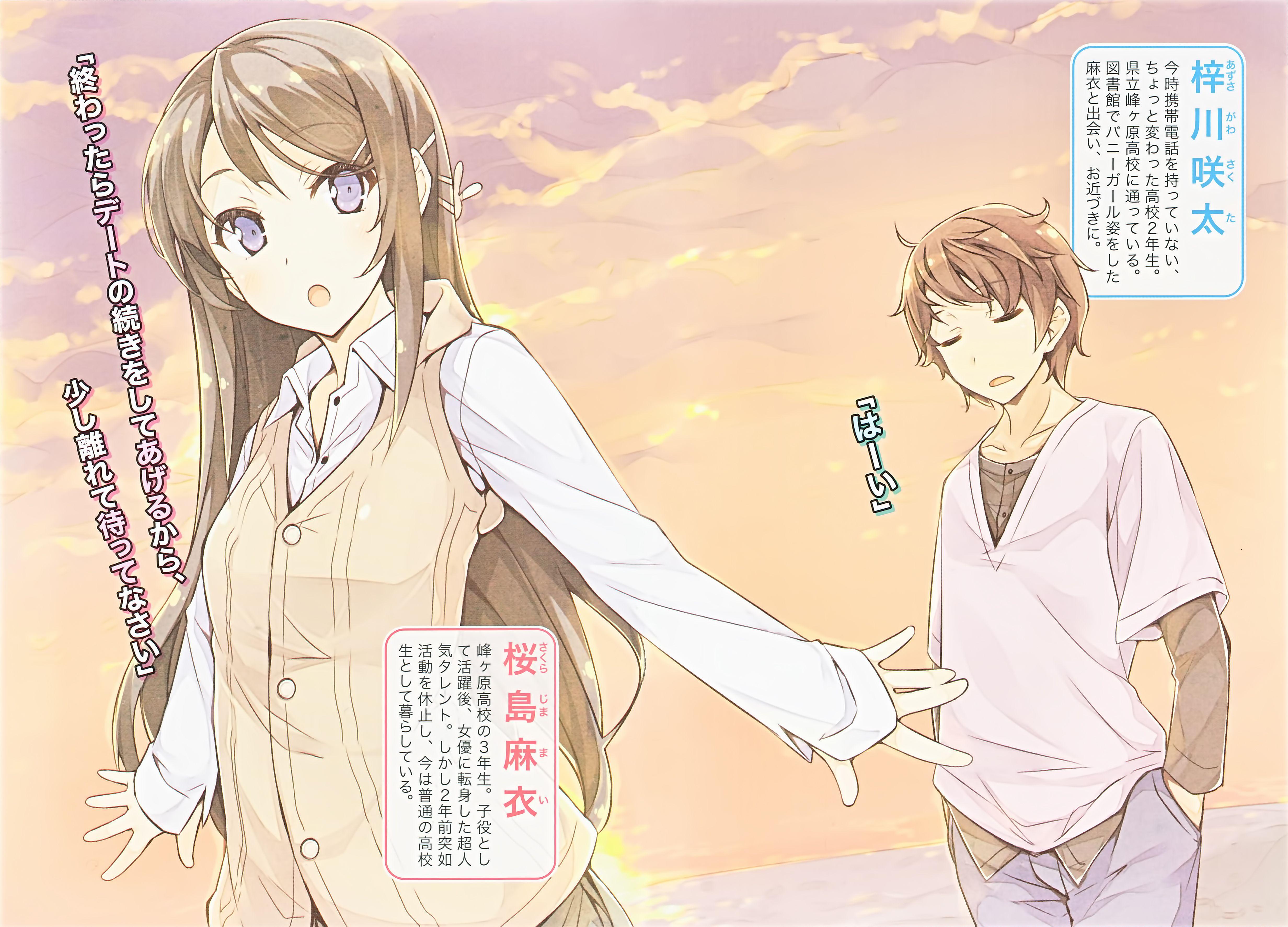4928x3547 Azusagawa Sakuta Buta Yarou Series Anime