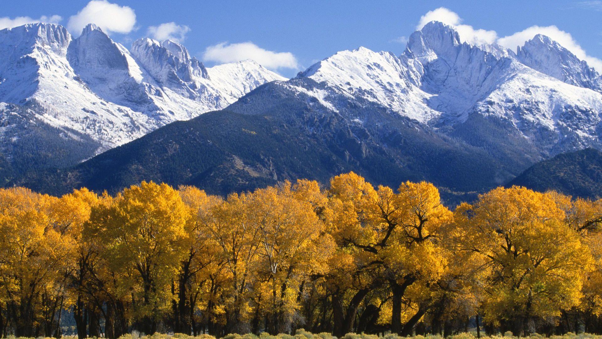 1920x1080 Autumn Colorado Forest Grande National Wallpaper 160924